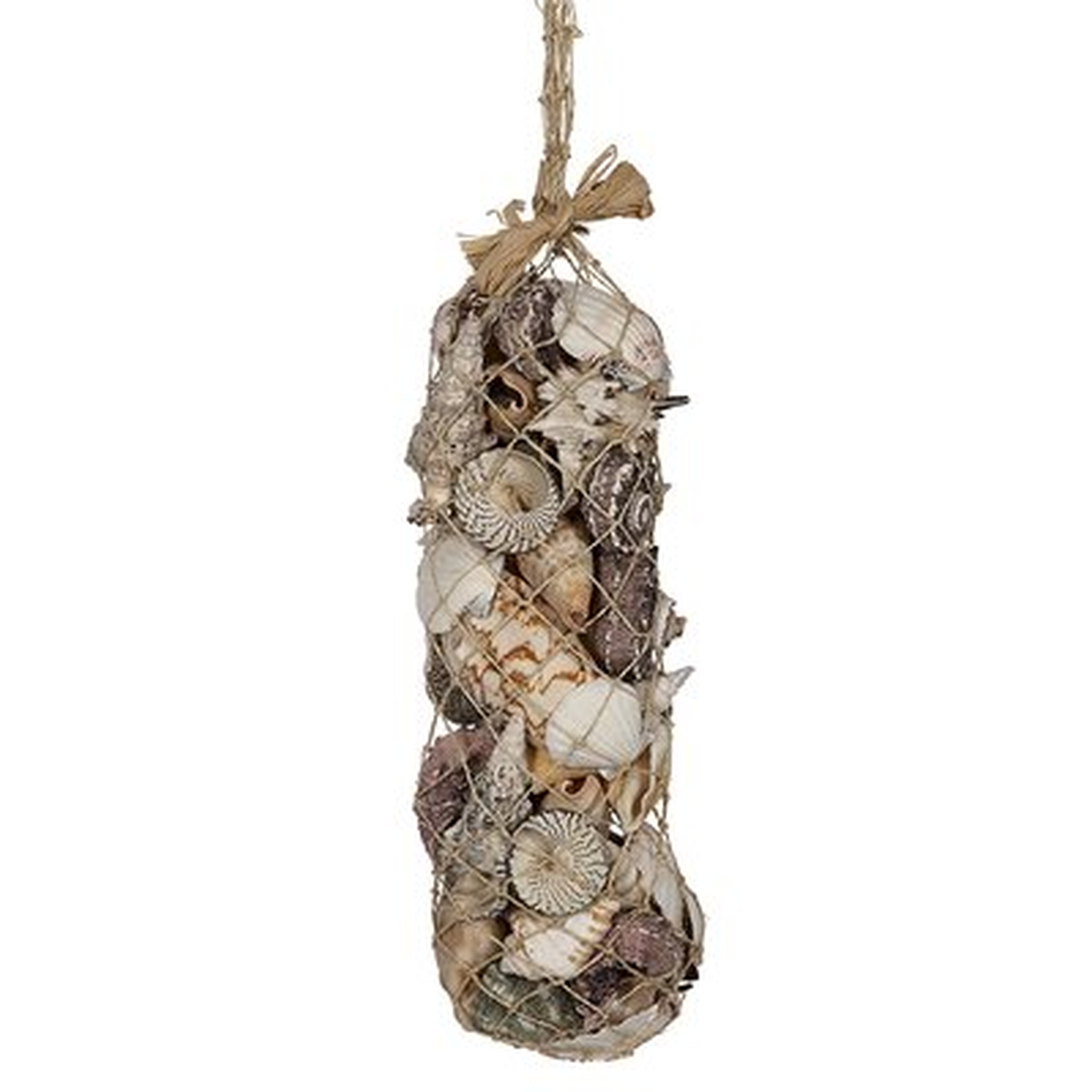 2 Piece Natural Seashells Décor Set - Wayfair