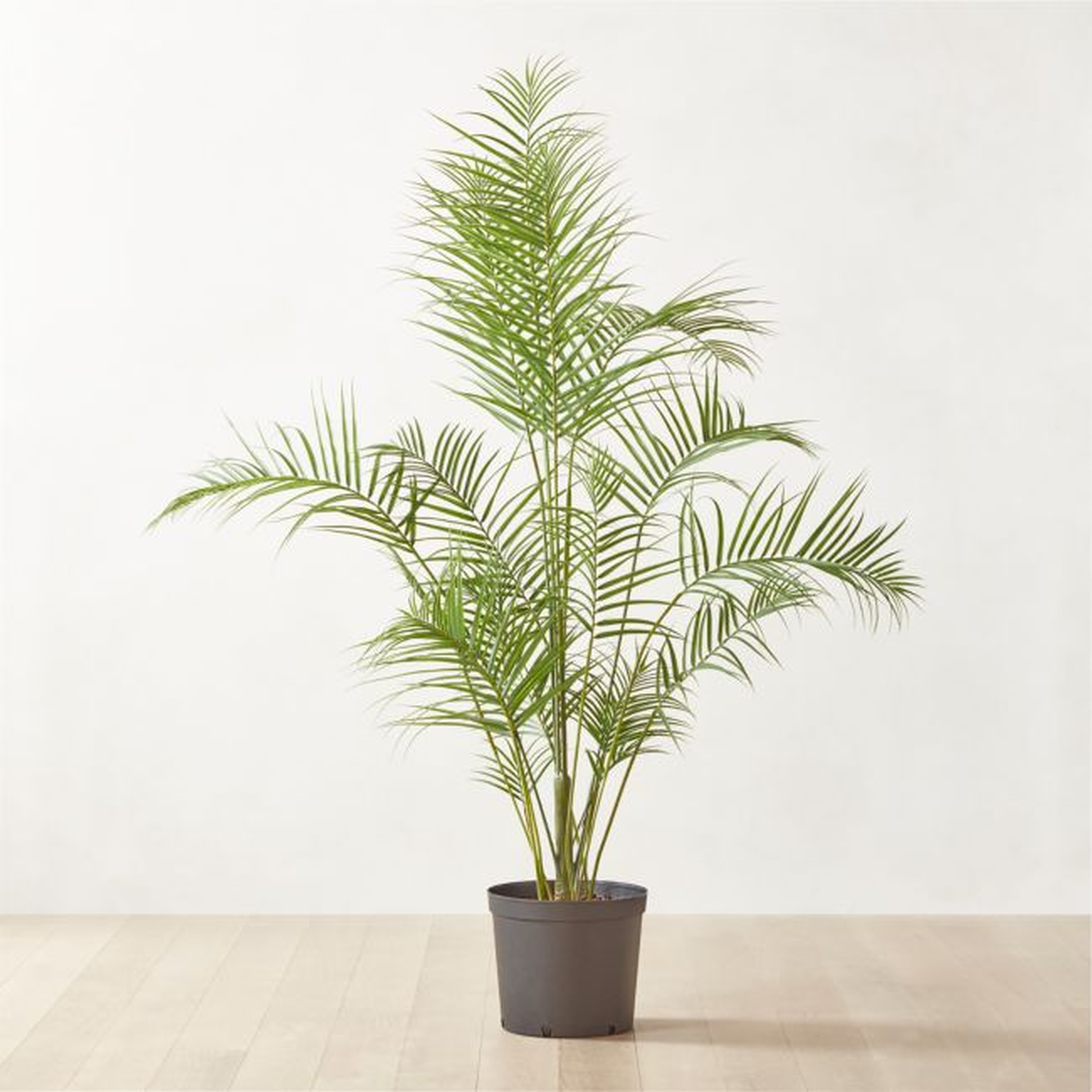 Faux Palm Tree 8' - NO LONGER AVAILABLE - CB2