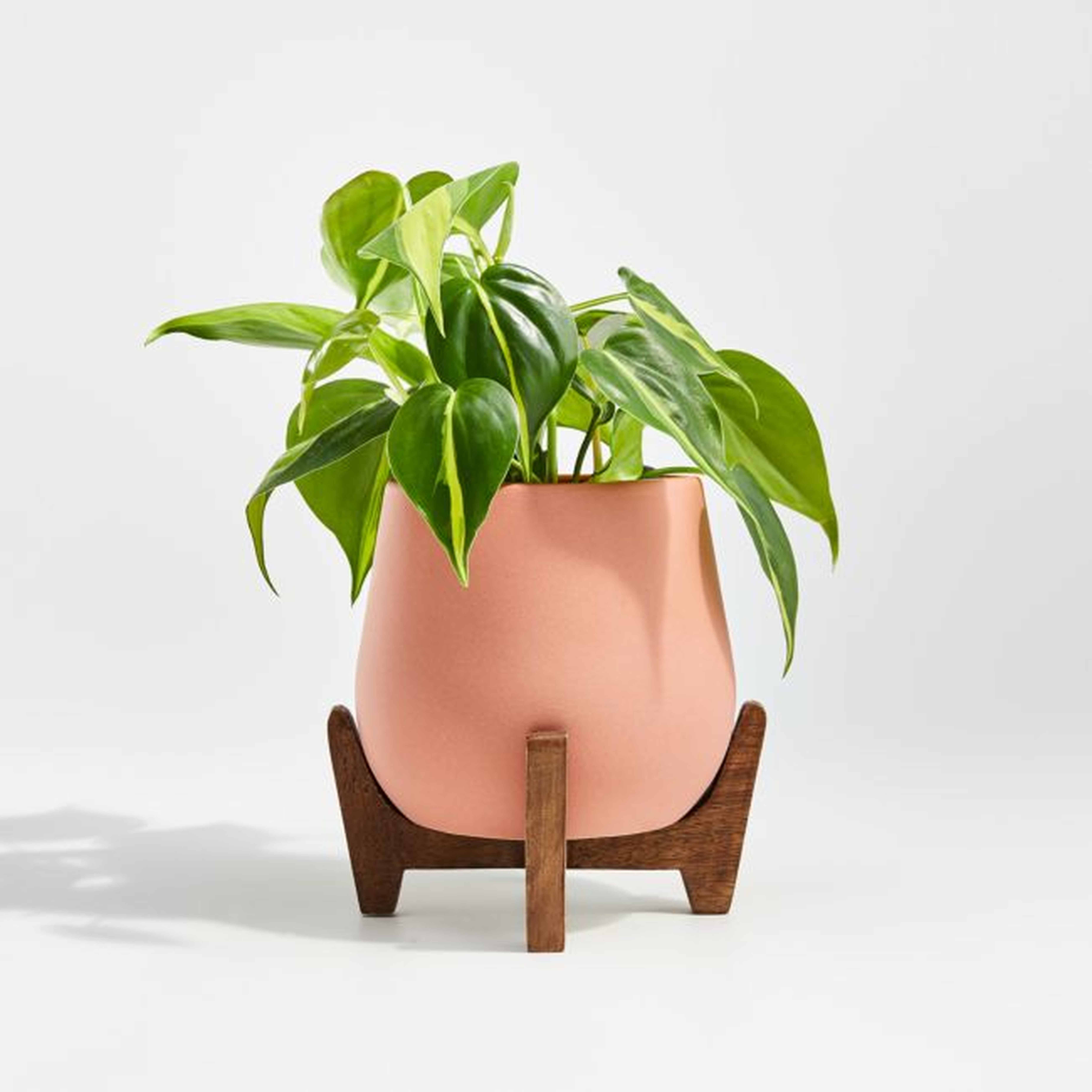Evie Small Planter with Stand - Crate and Barrel