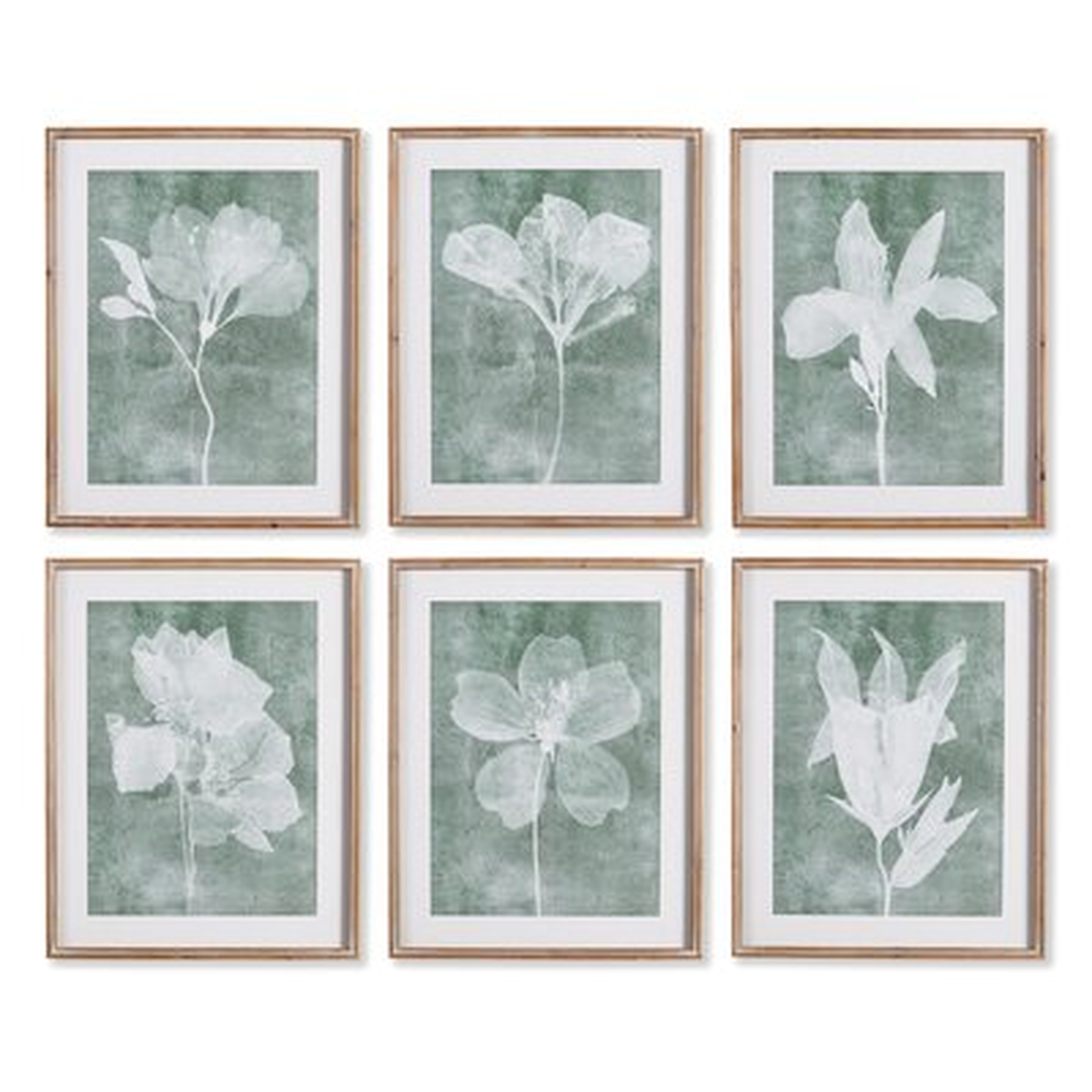 'Translucent Floral' - 6 Piece Picture Frame Painting Print Set on Paper - Wayfair