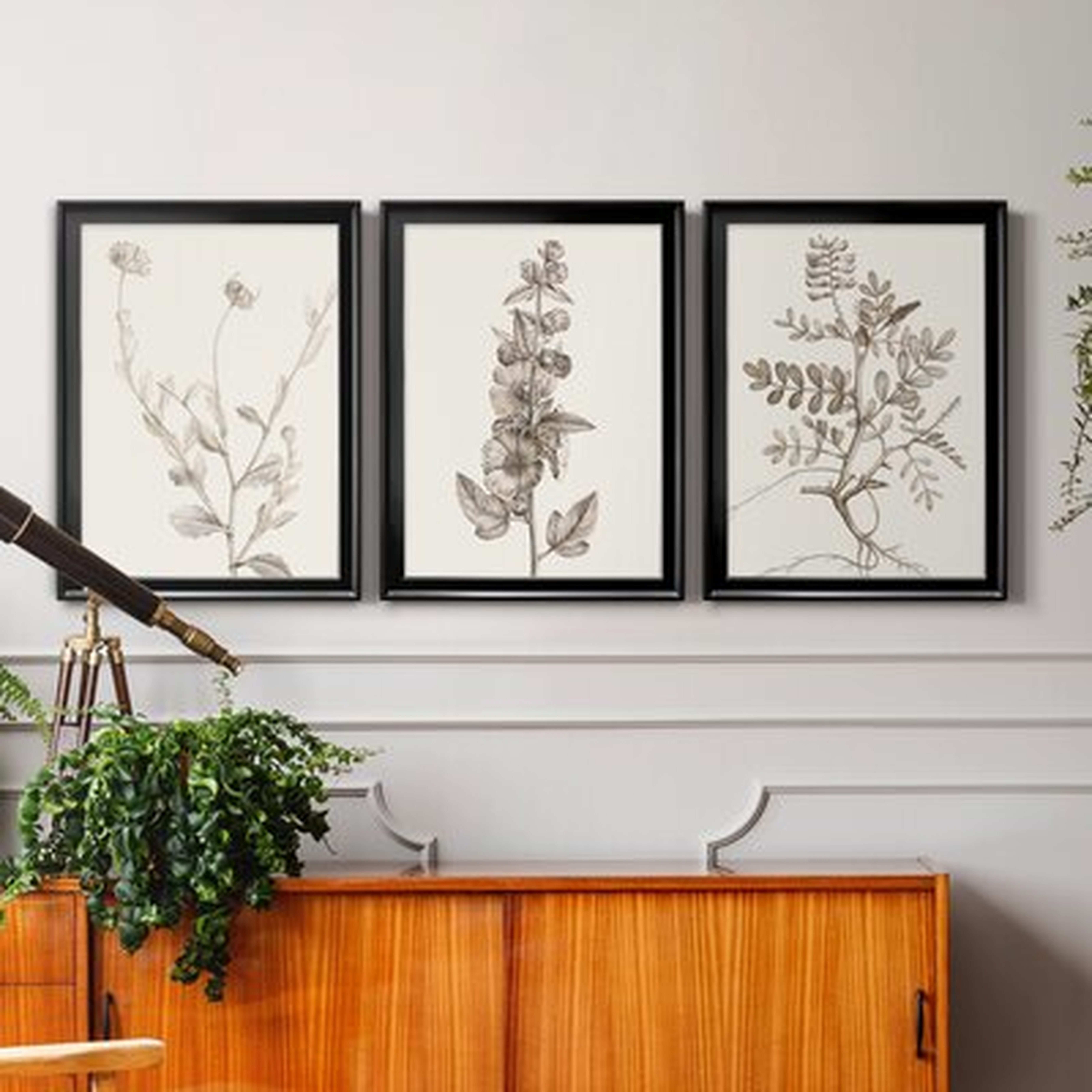Neutral Botanical Study IV - 3 Piece Picture Frame Graphic Art Set on Canvas - Wayfair
