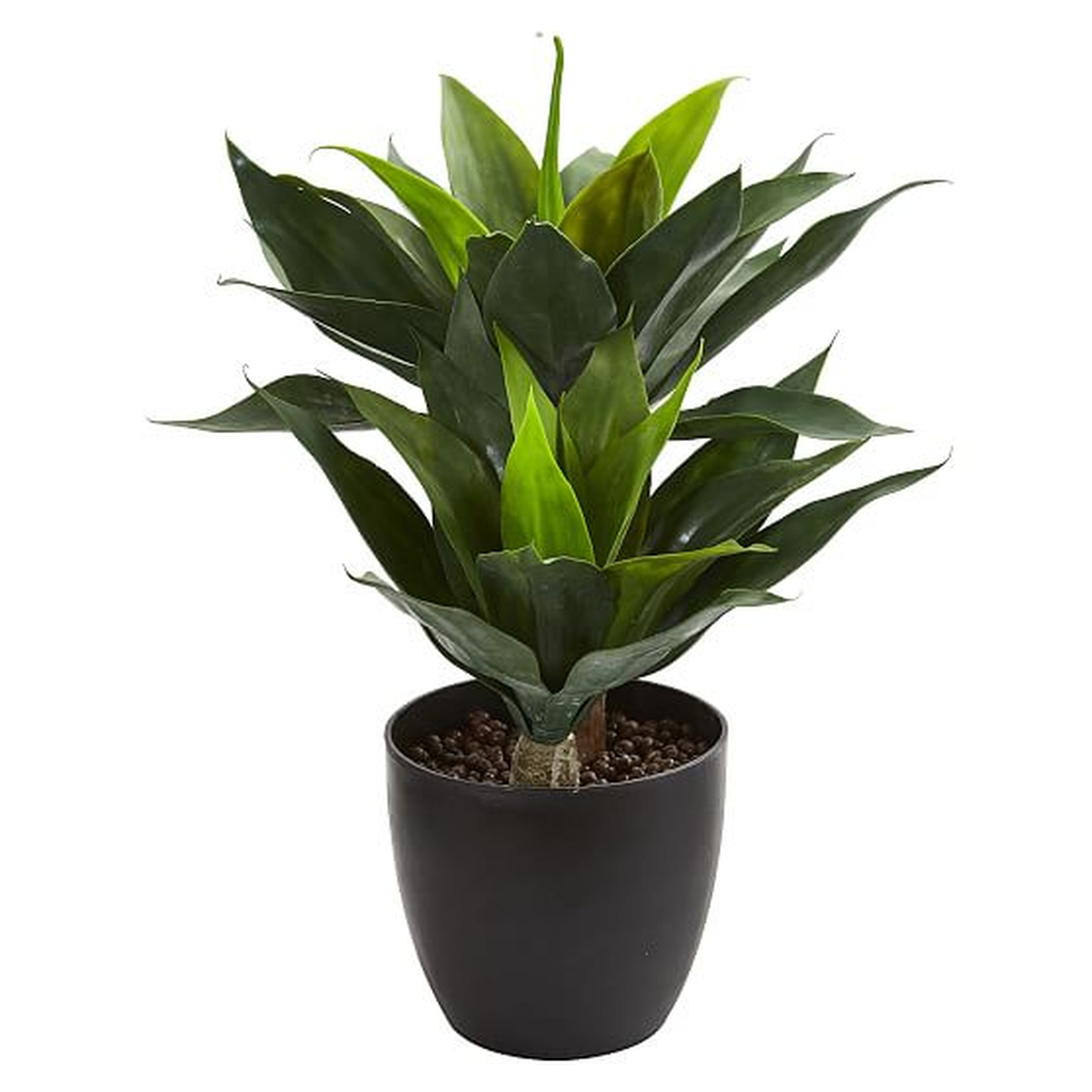 Faux Agave Plant, 21 inches - West Elm