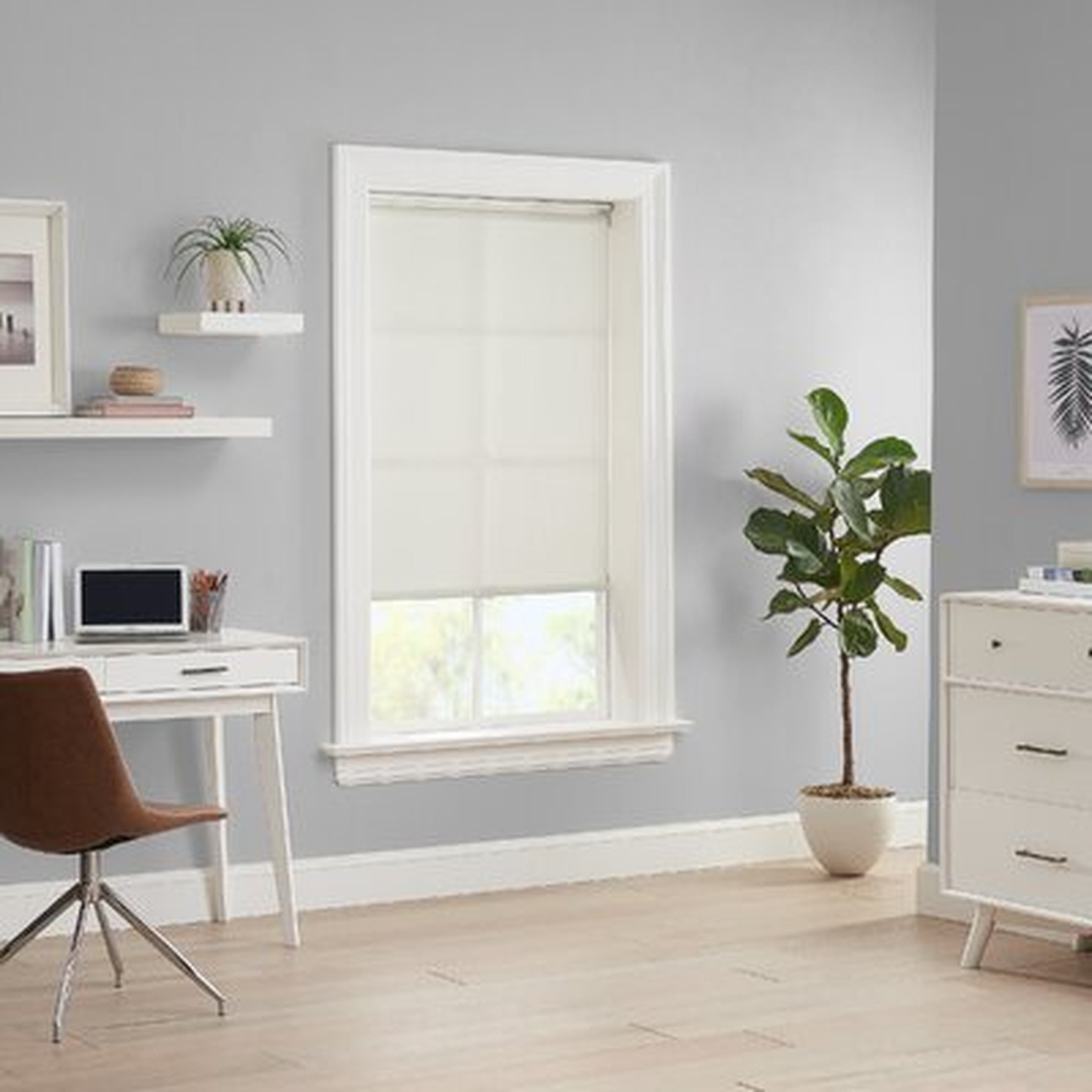 Eclipse Holden Solid Light Filtering Light Filtering Cordless Roller Shade - Wayfair