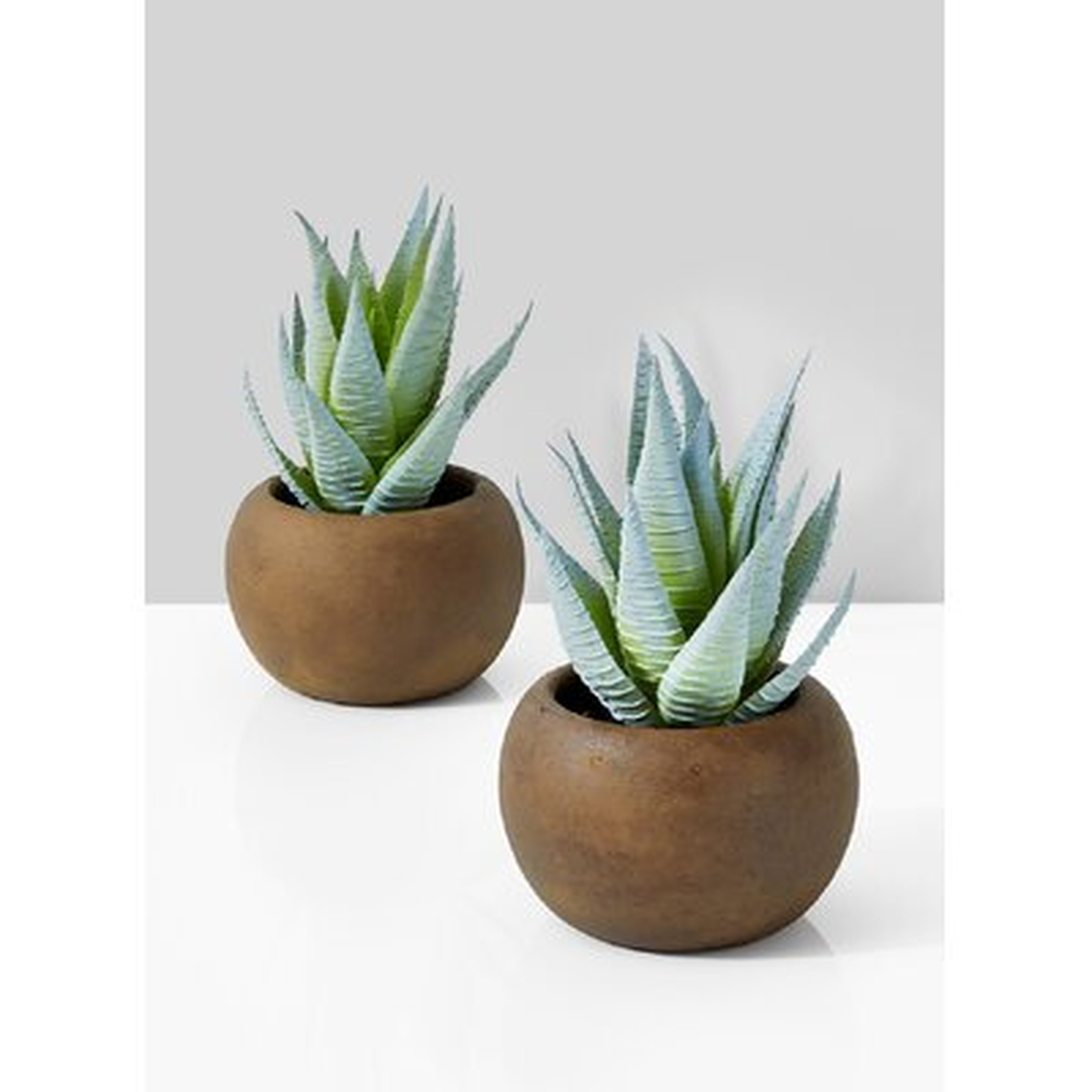 Evergreen Plant Pot Set - Wayfair