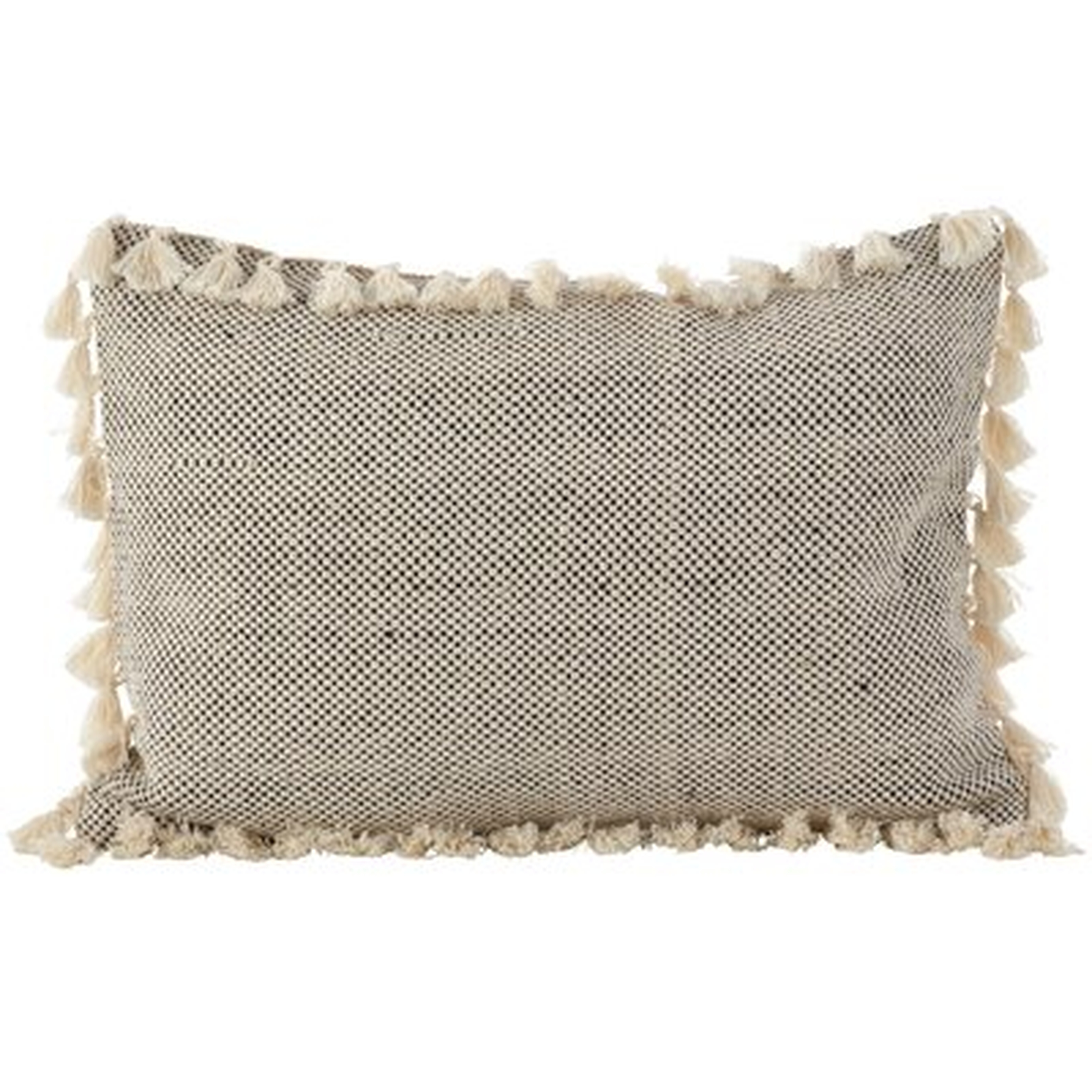 Charleena Cotton Down Lumbar Pillow - AllModern