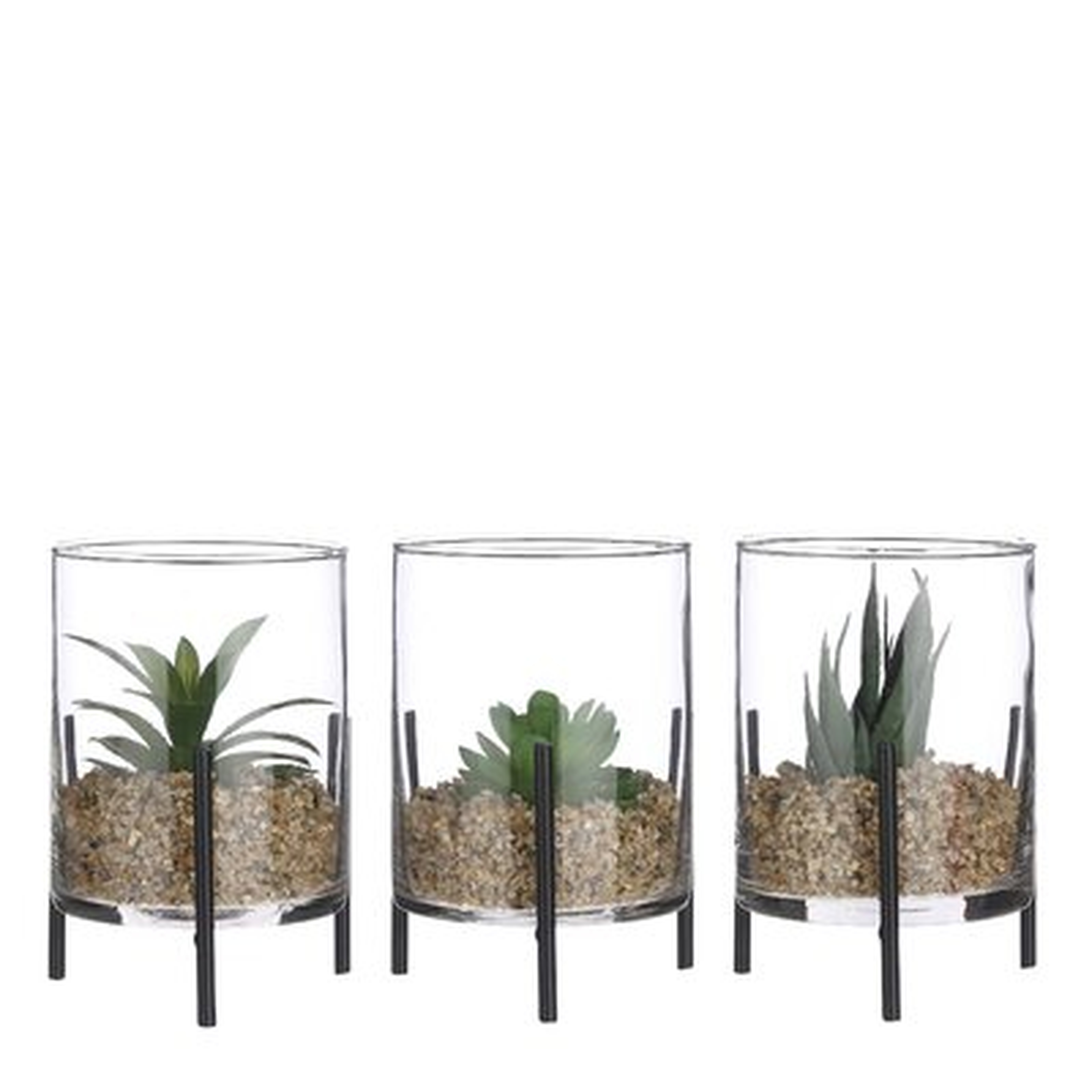 3 - Piece Artificial Succulent in Jar Set (Set of 3) - Wayfair