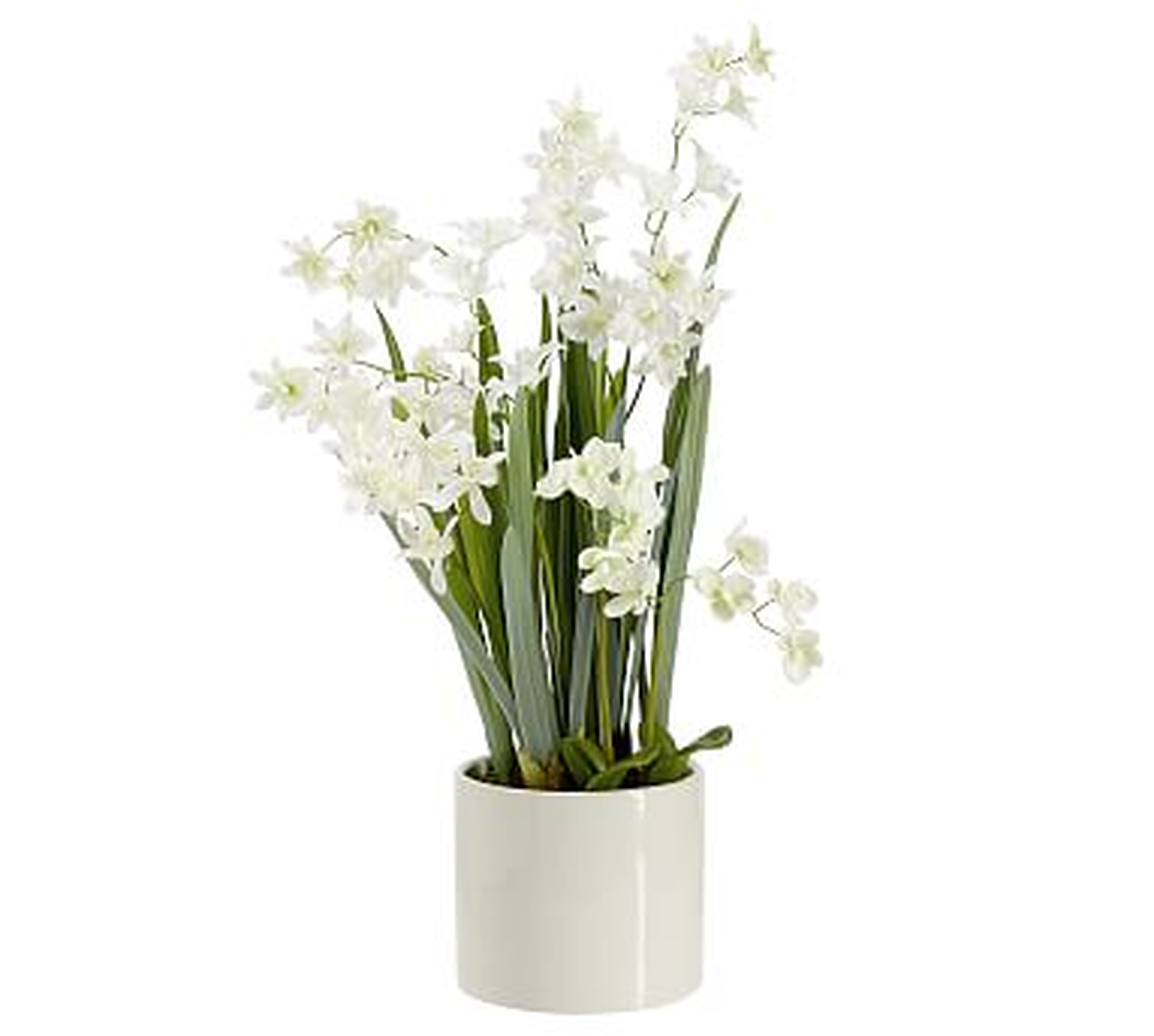 Faux Orchid in Ceramic Pot, Neutral, Large - Pottery Barn