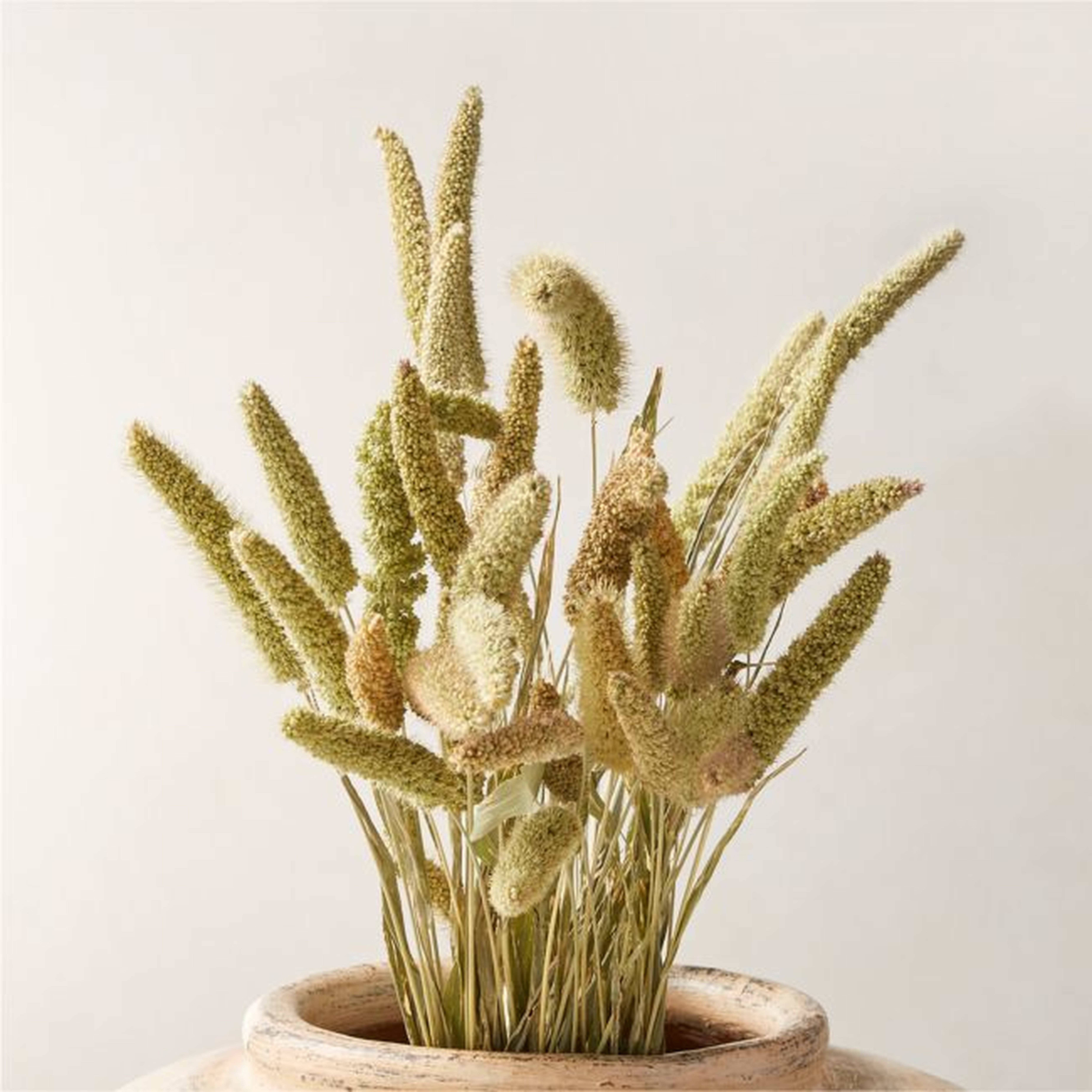 Dried Millet Bunch 20" - CB2