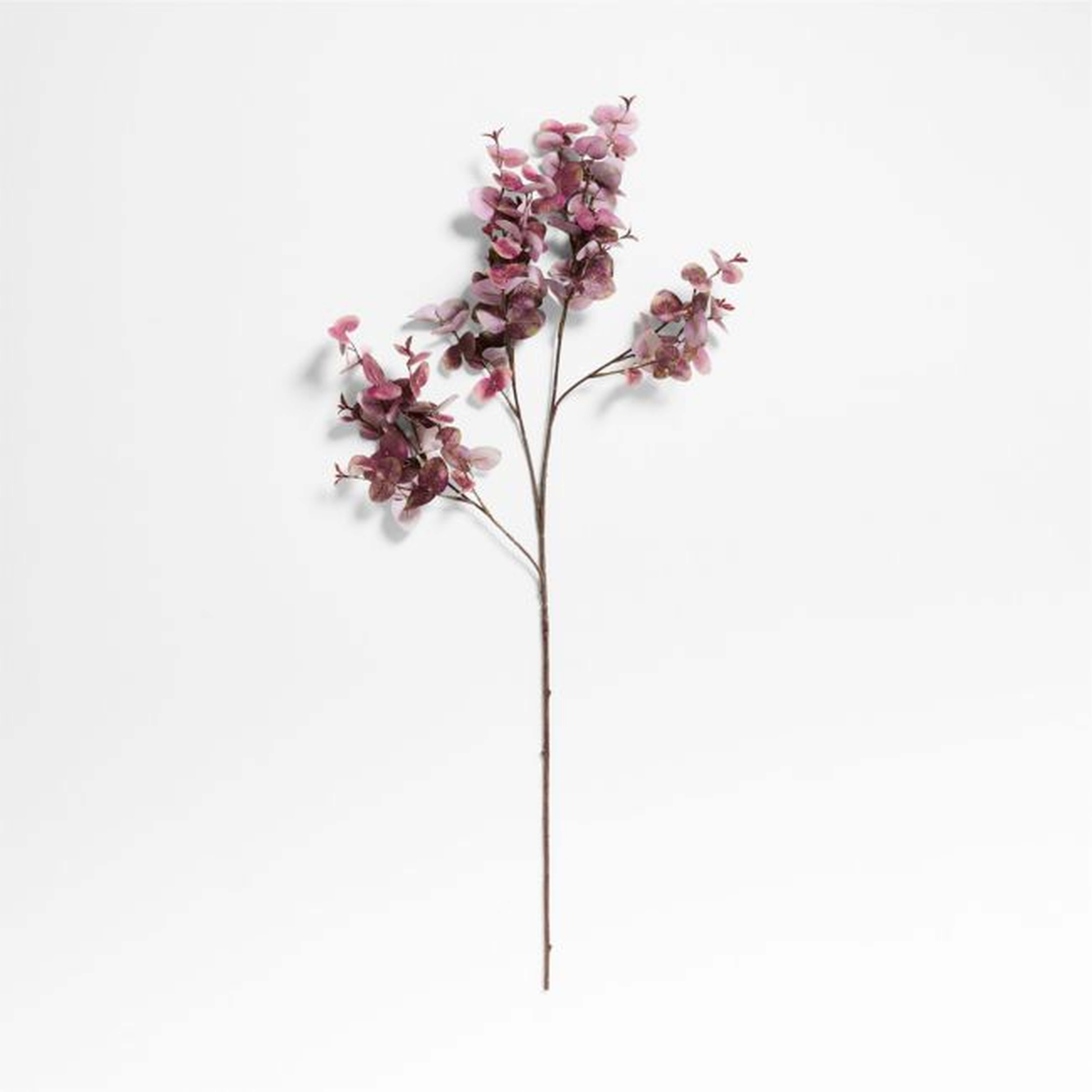 Faux Purple Smokebush Stem - Crate and Barrel