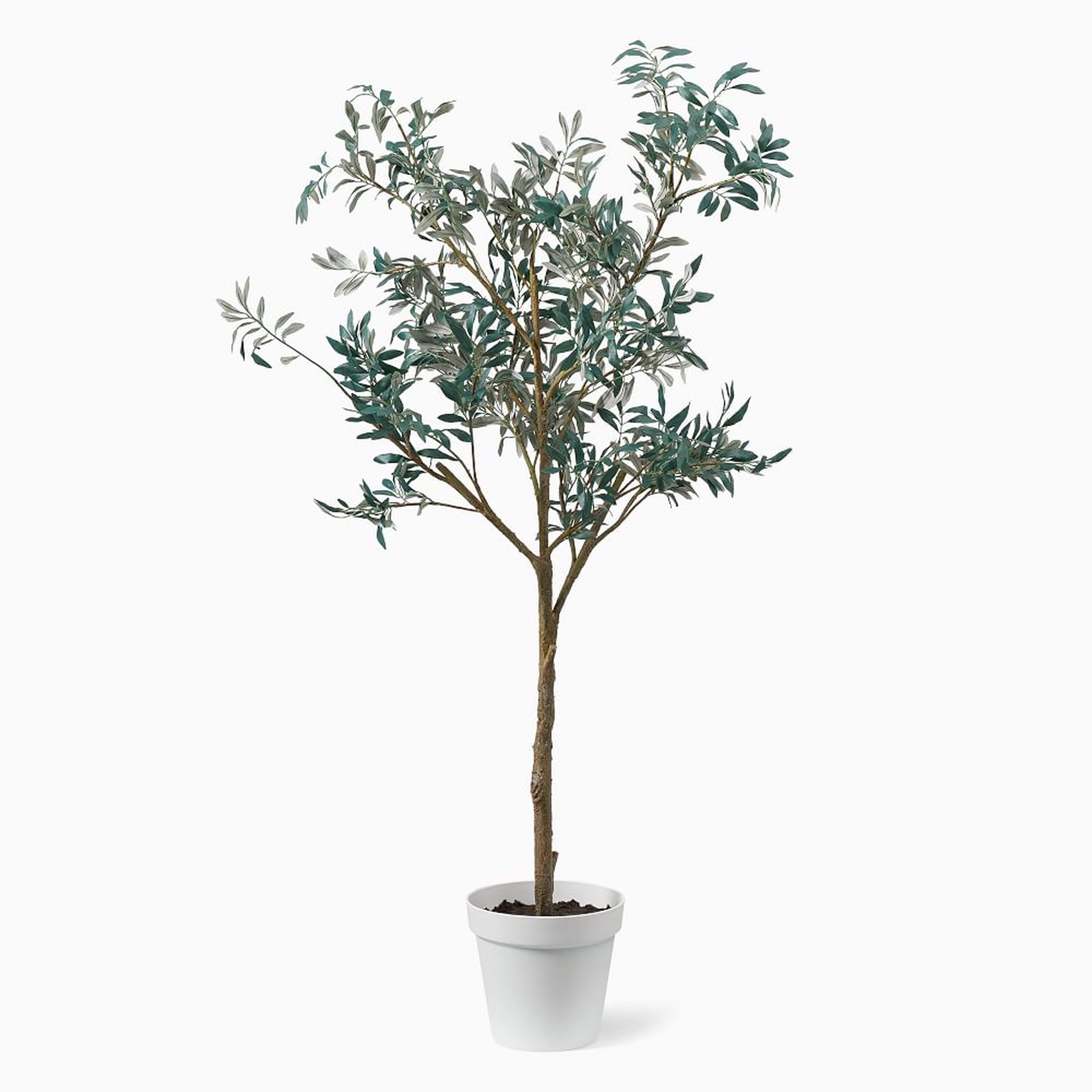 Faux Potted Olive Tree, 5' - West Elm