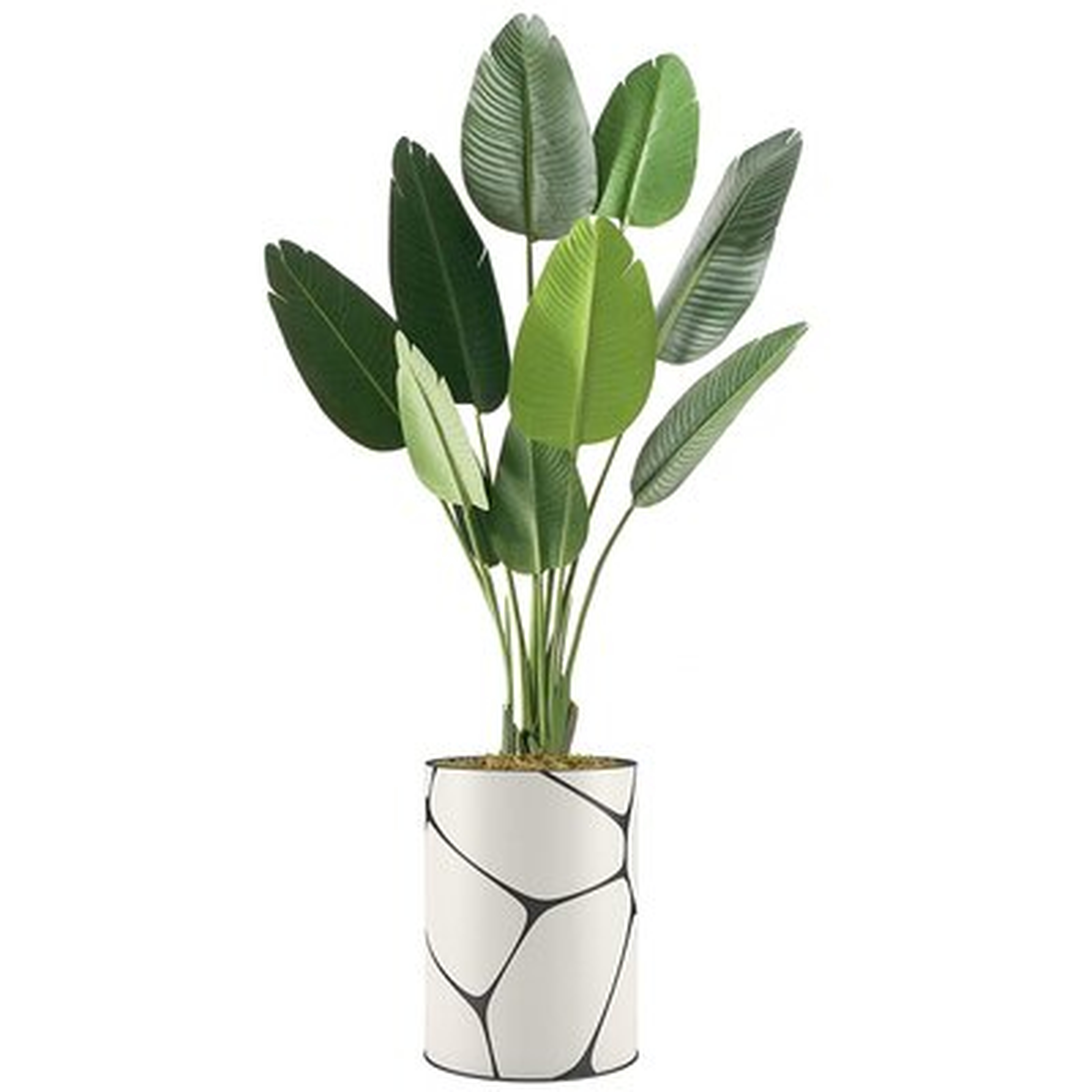 Primrue Floor Plants Artificial Trees For Home, Fake Bird Of Paradise Plant With Vase - Large Size 72" Overall - Wayfair
