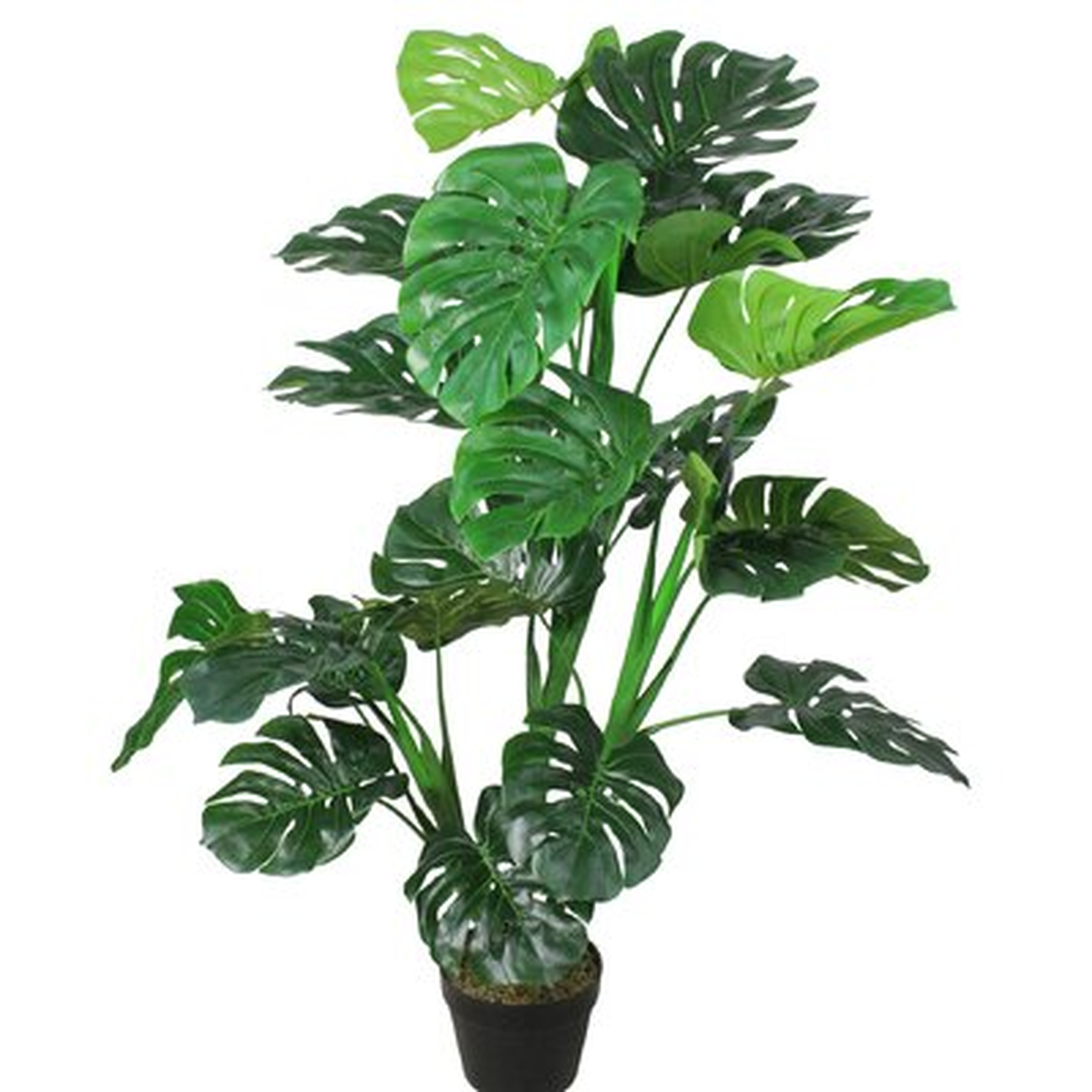 50" Potted Green Artificial Monstera Plant - Wayfair