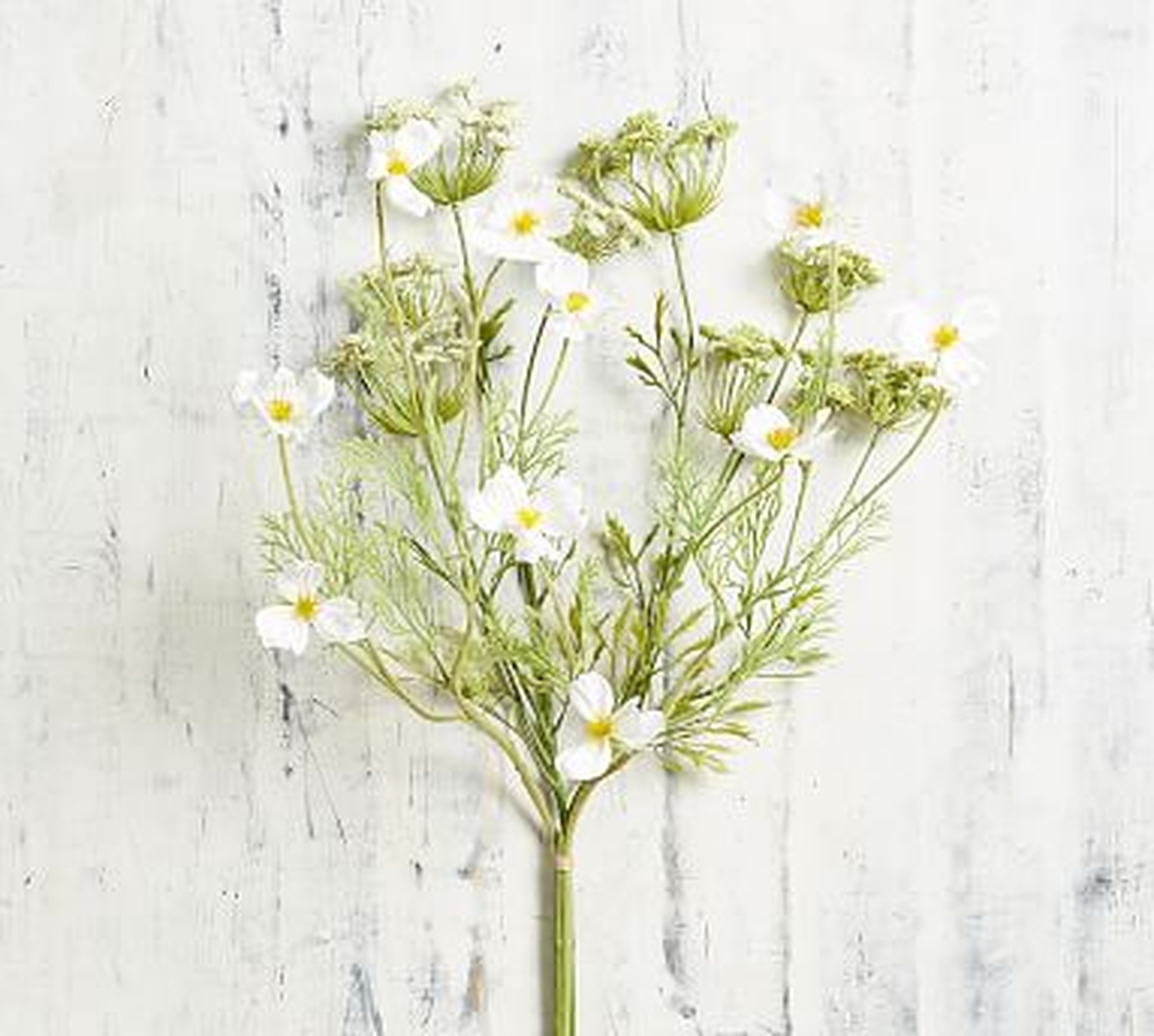 Faux Queen Anne's Lace And Cosmos Bouquet, Green - Pottery Barn