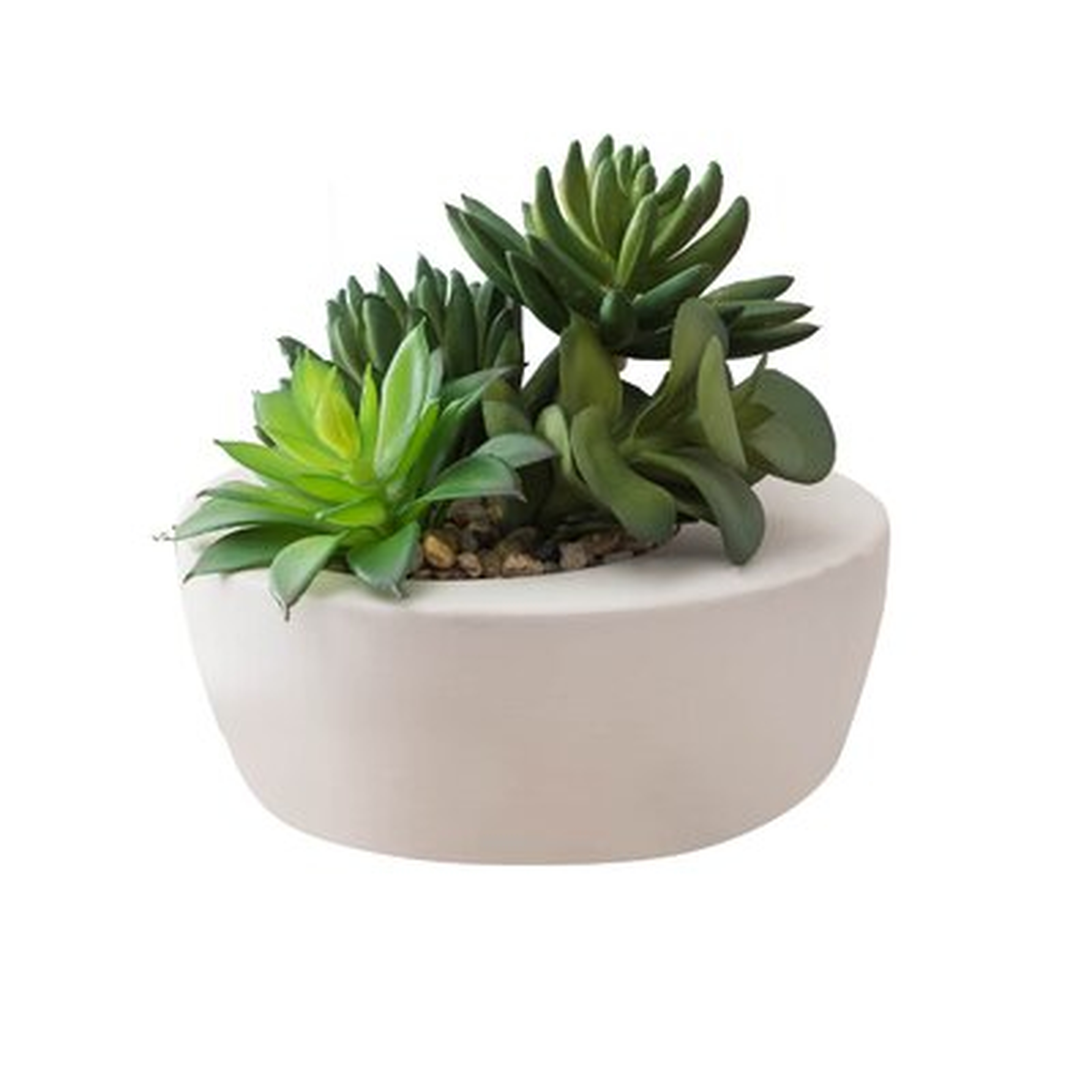 4.3'' Artificial Succulent in Pot - Wayfair