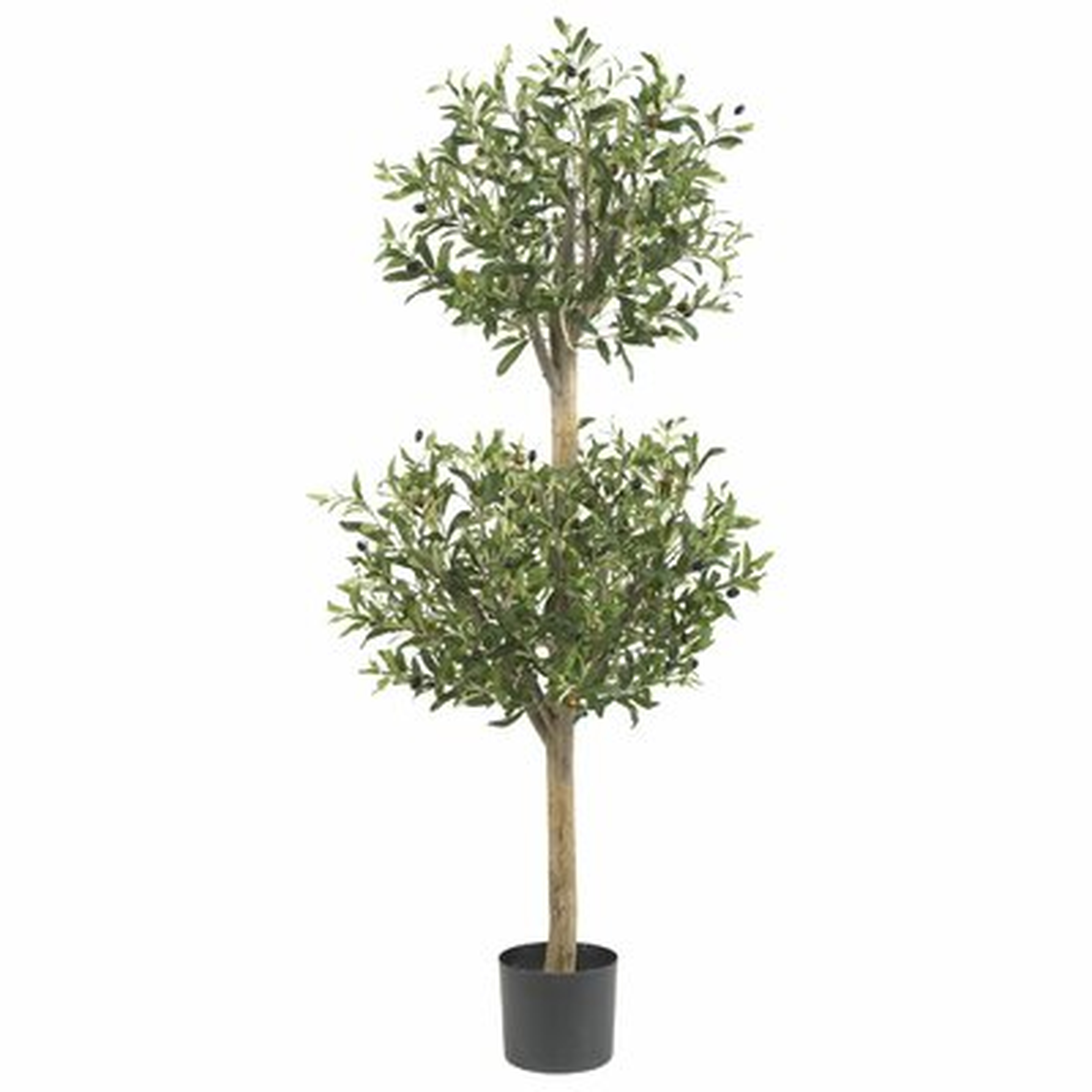 54" Artificial Olive Tree Topiary in Pot - Wayfair