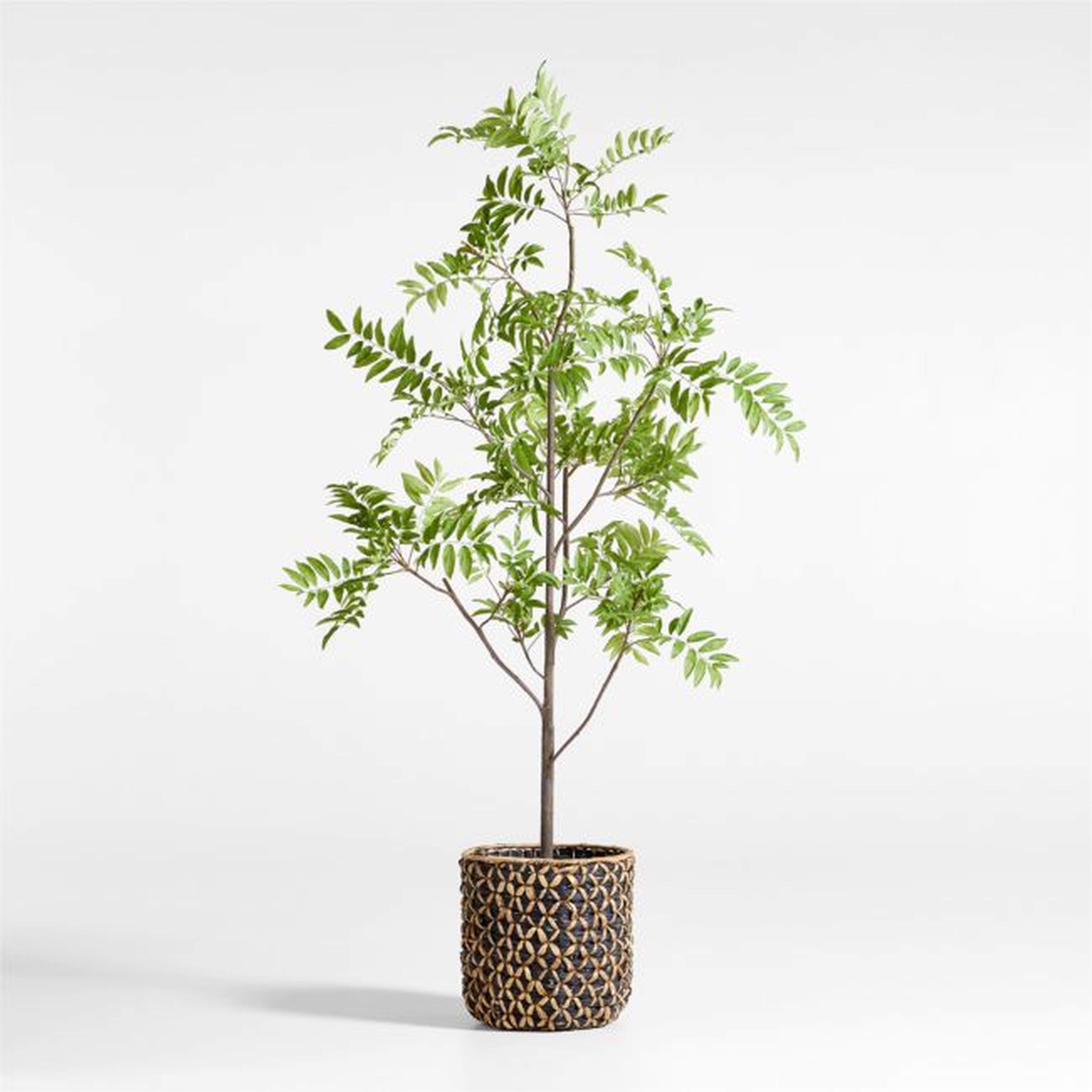 Faux Sorbus Tree 8' - Crate and Barrel