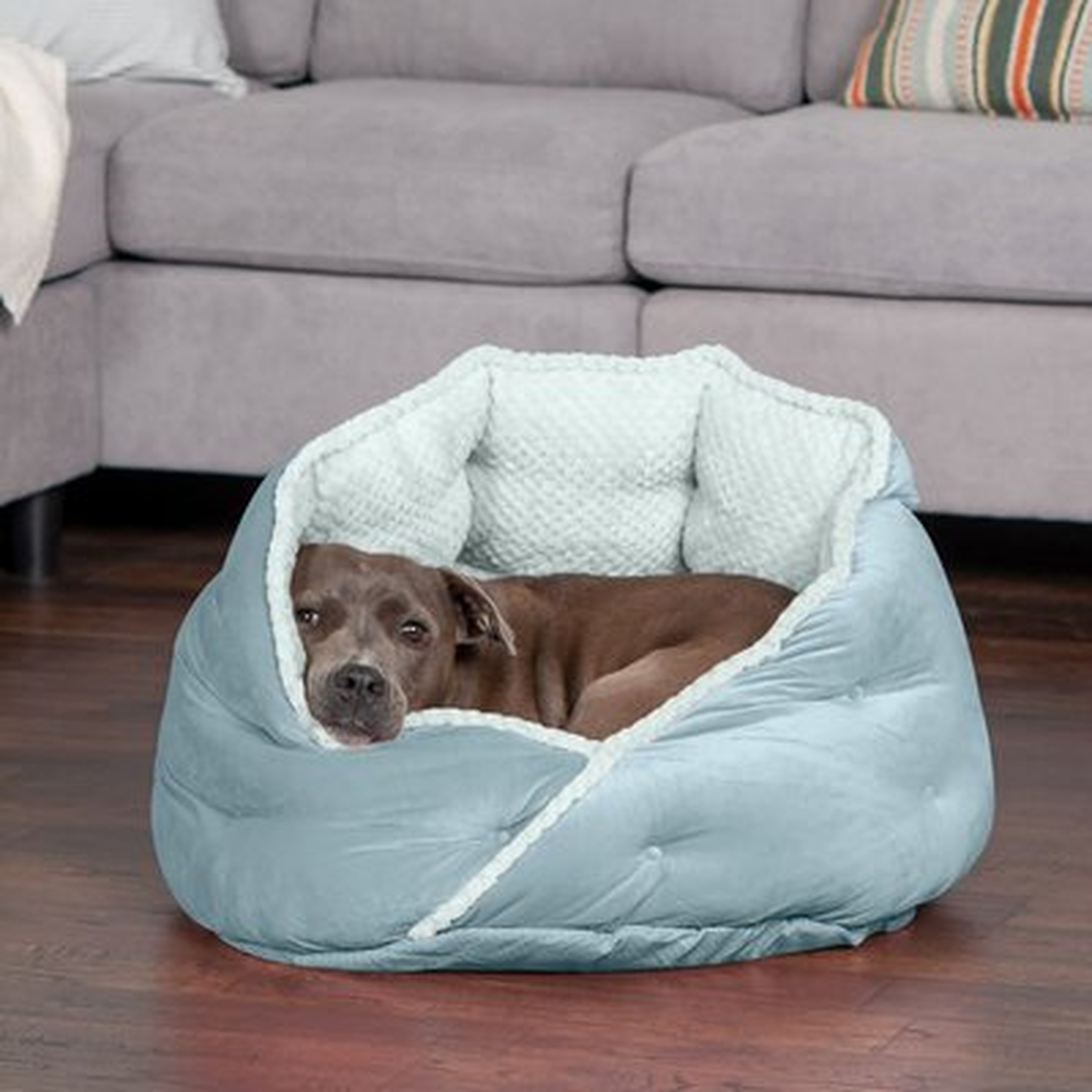 Geyer Calming Hooded - Wayfair