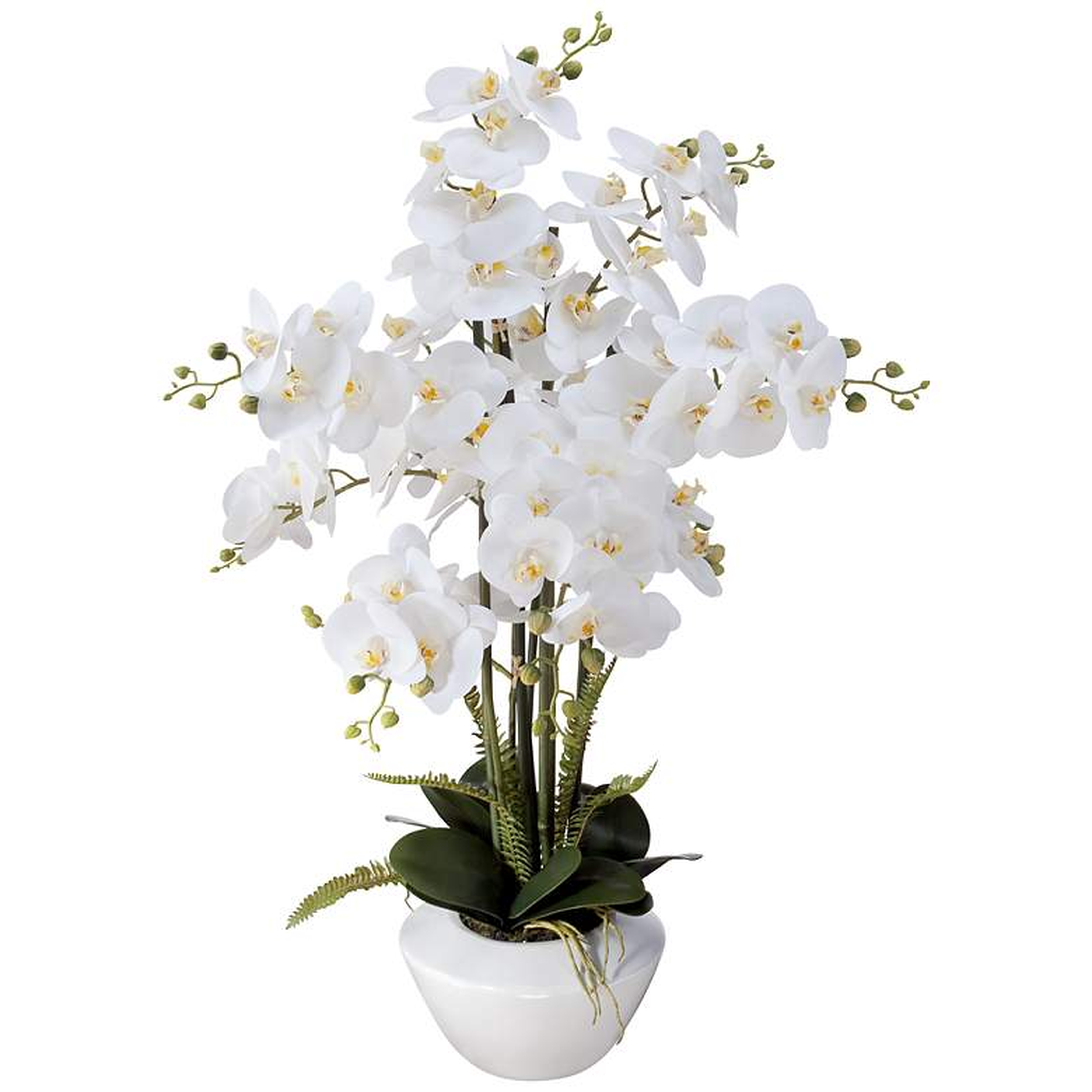 White Phalaenopsis Orchid Faux Floral Arrangement, 29" - Lamps Plus