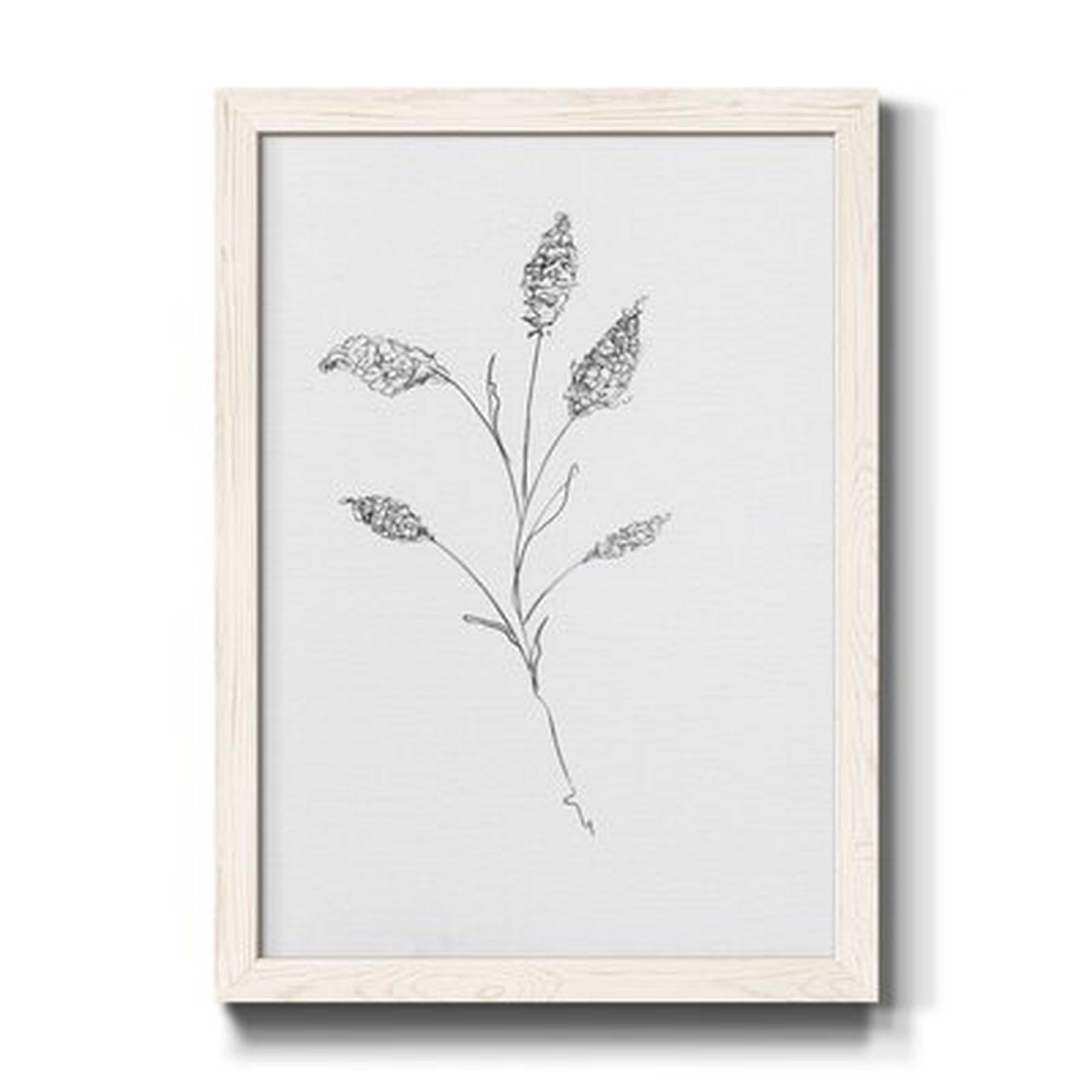 Floral Sketch II - Picture Frame Print on Paper - Wayfair