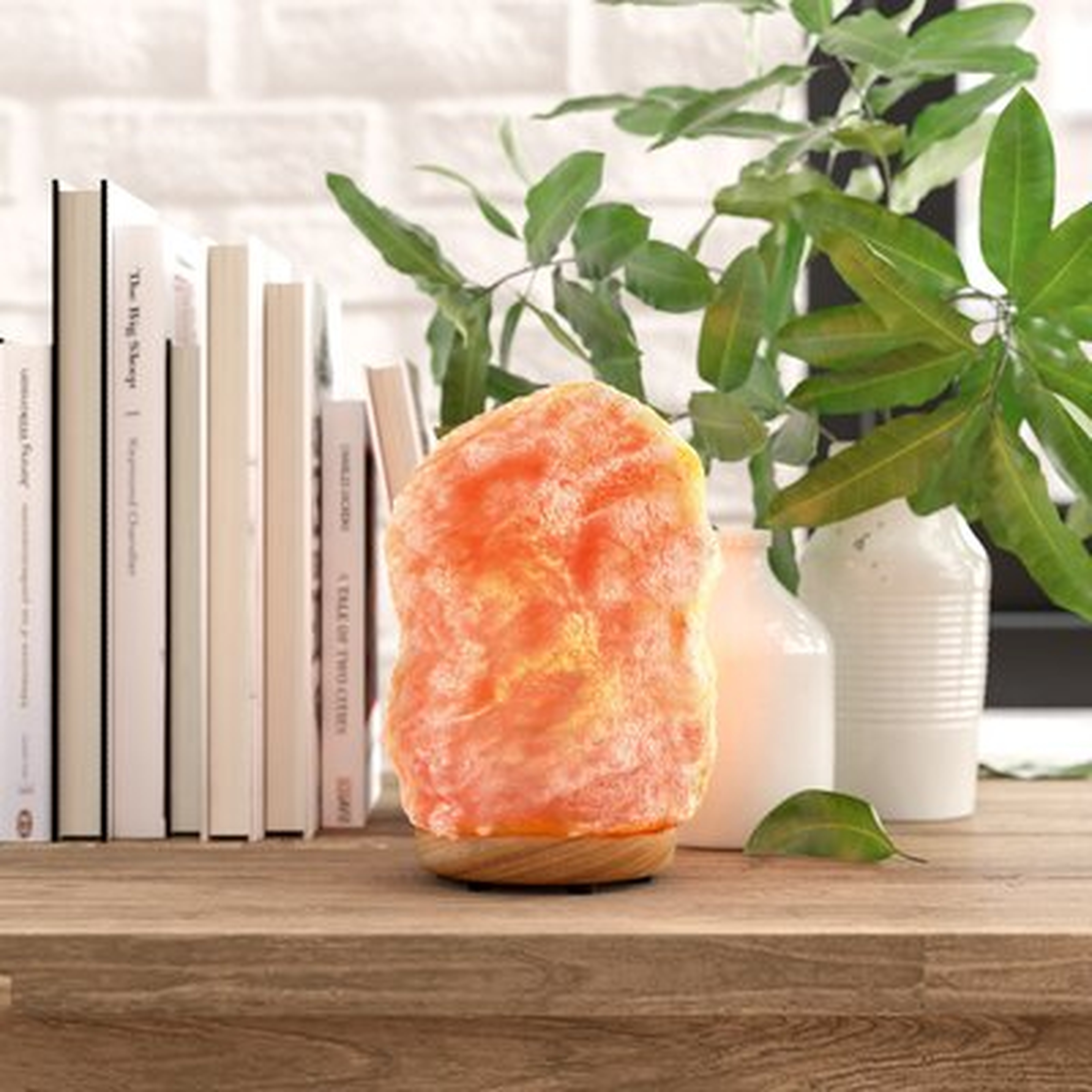 Neva 7 lbs Salt Lamp - Wayfair