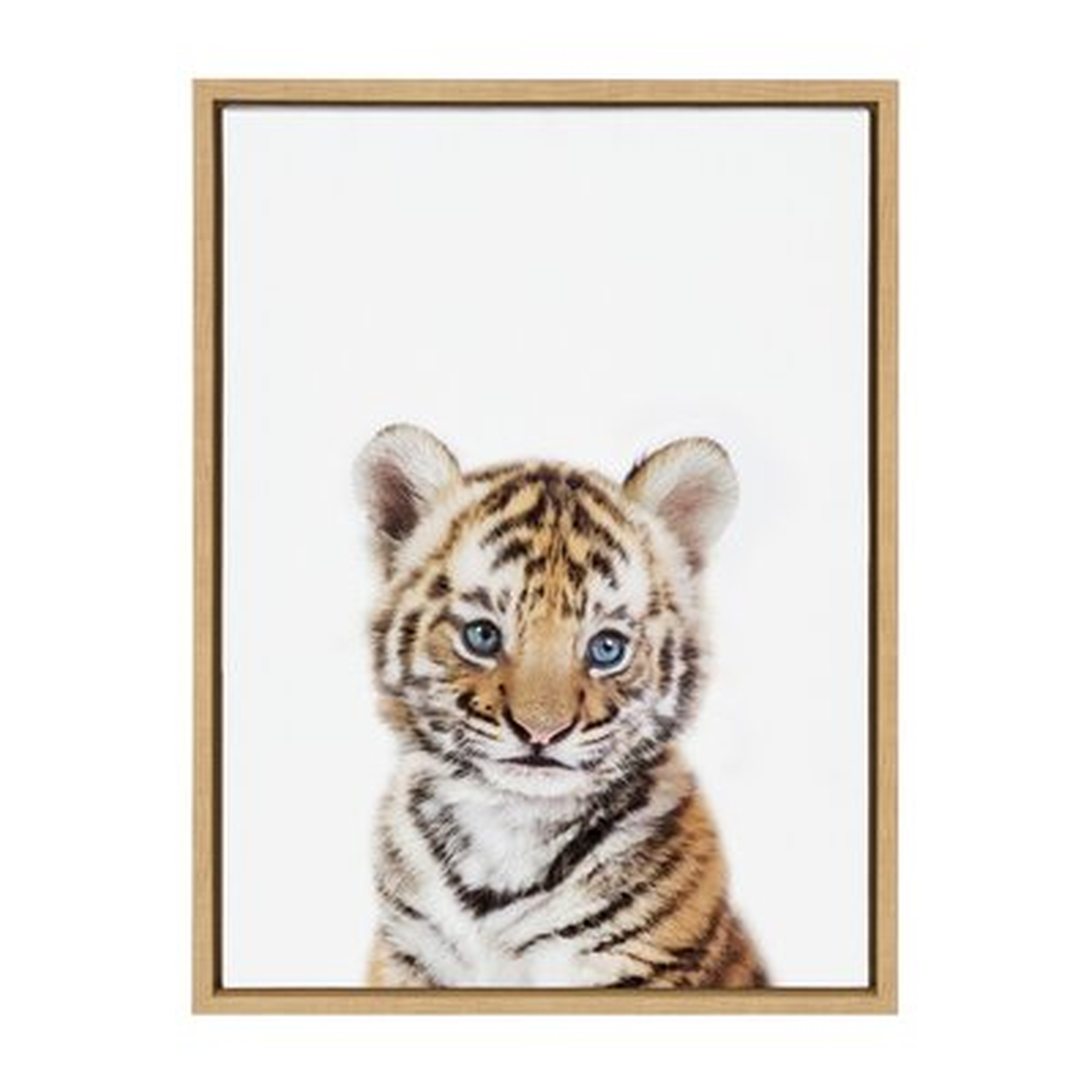 Baby Tiger Portrait by Amy Peterson - Floater Frame Graphic Art on Canvas - Wayfair
