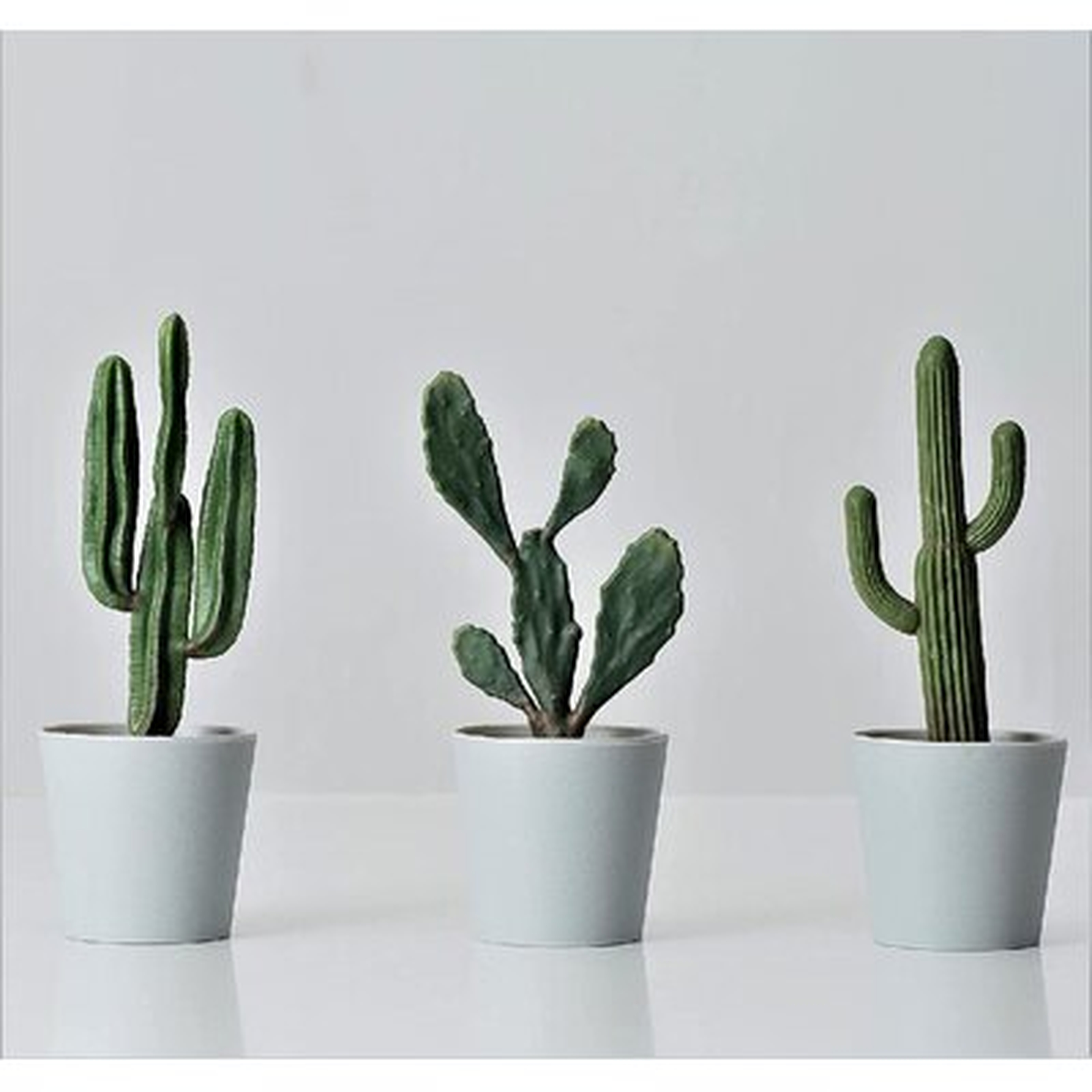 Artificial Mini Cactus Plants, Fake Tiny Cactus, Potted Faux Plants, Small Cute Cactus Decor For Home Office Kitchen Bathroom Countertop - Wayfair