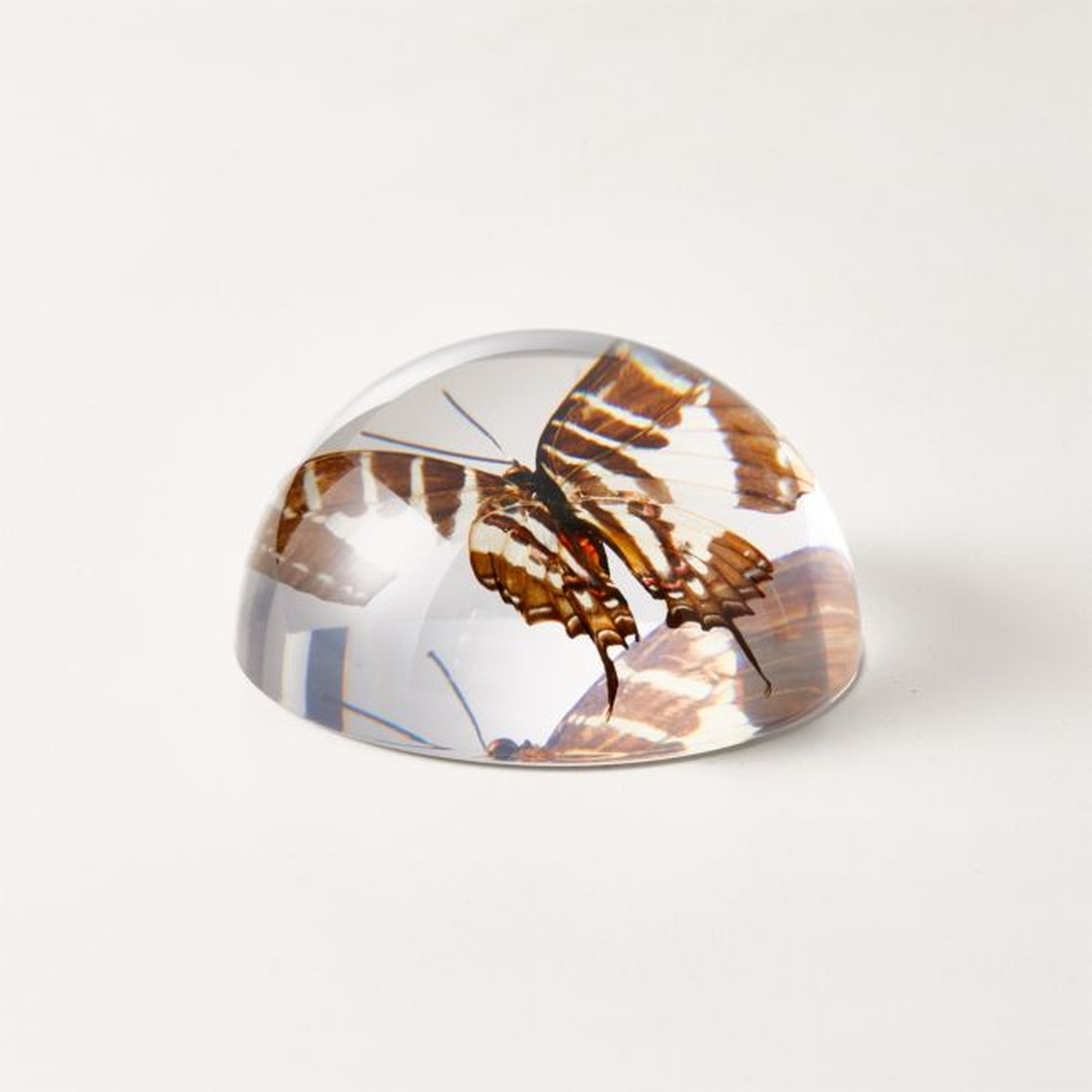 Volare Paperweight - CB2