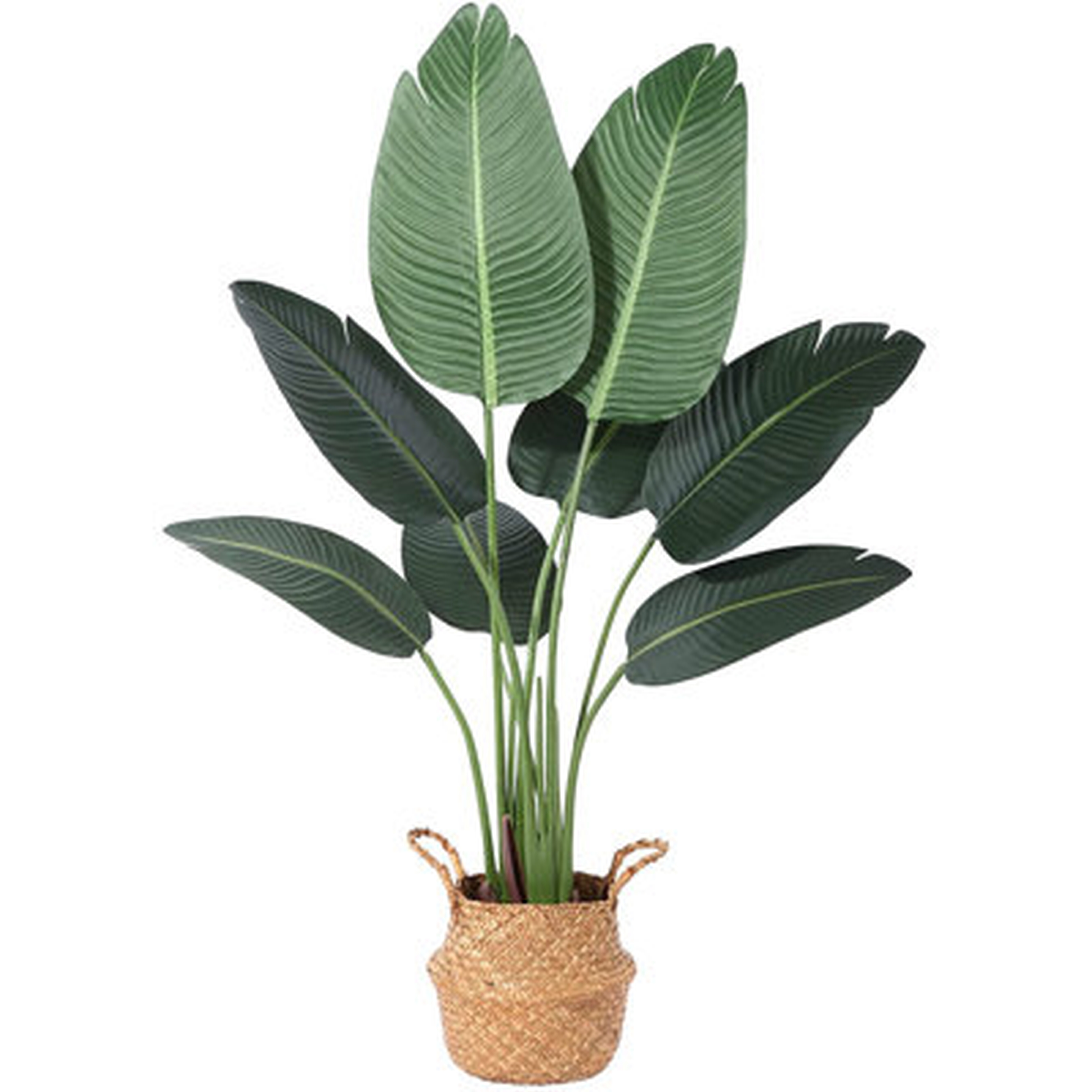 Artificial Bird Plants 5Ft Fake Tropical Palm Tree With 10 Trunks In Pot And Woven Seagrass Belly Basket Perfect Faux Plant For Home Indoor Outdoor Office Modern Decor - Wayfair