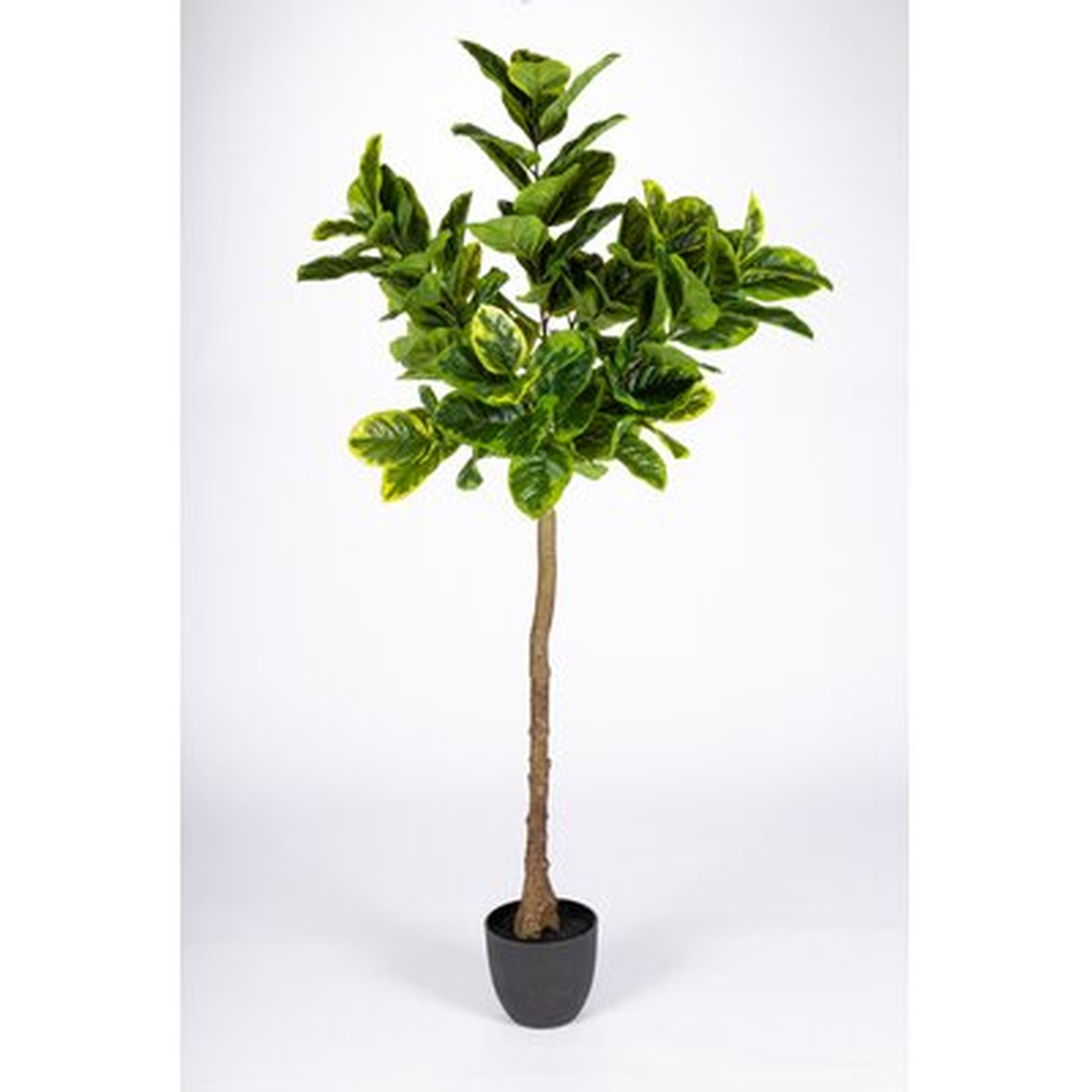 72" Artificial Ficus Tree in Pot - Wayfair