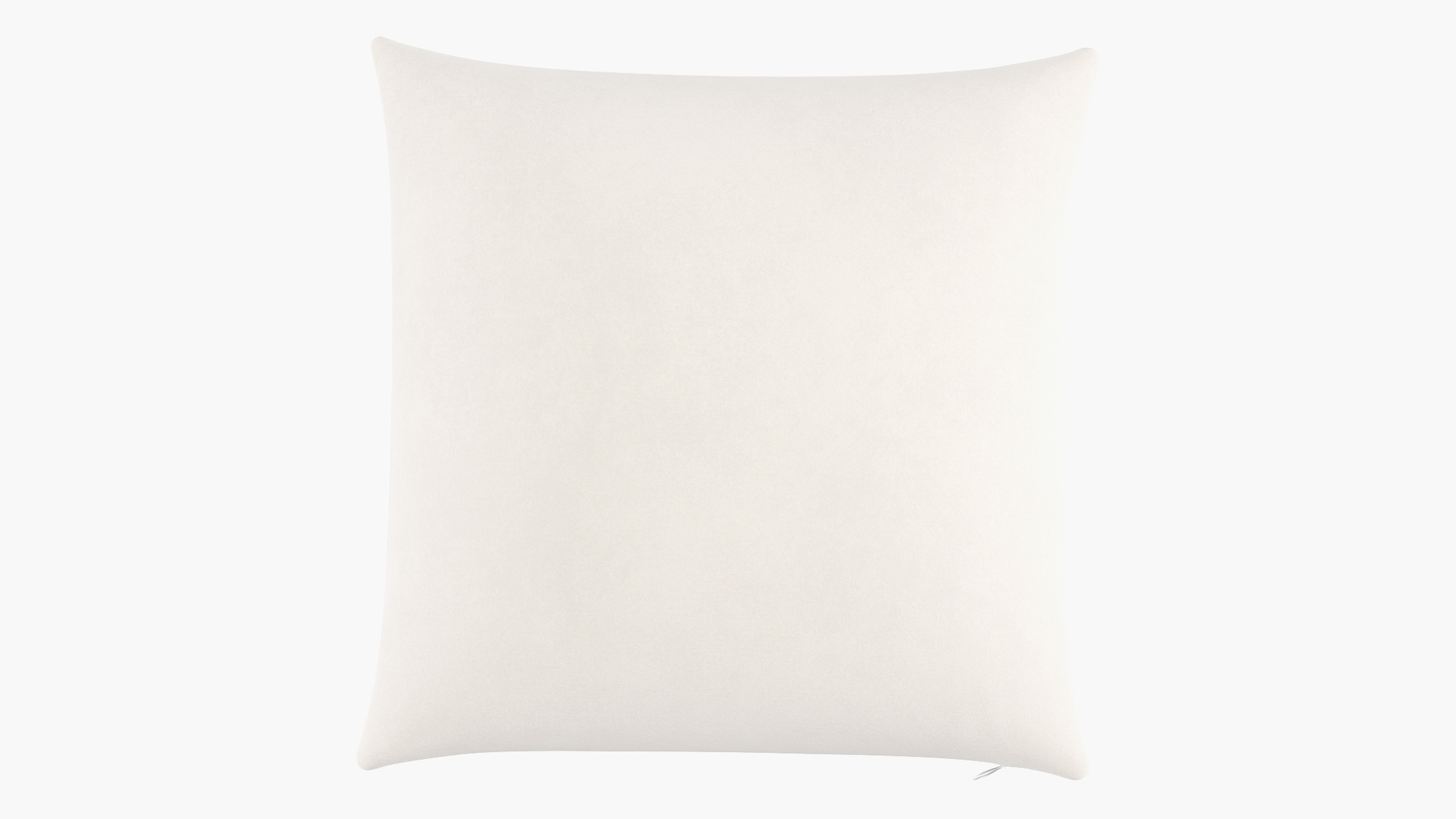 Throw Pillow 22", White Classic Velvet, 22" x 22" - The Inside