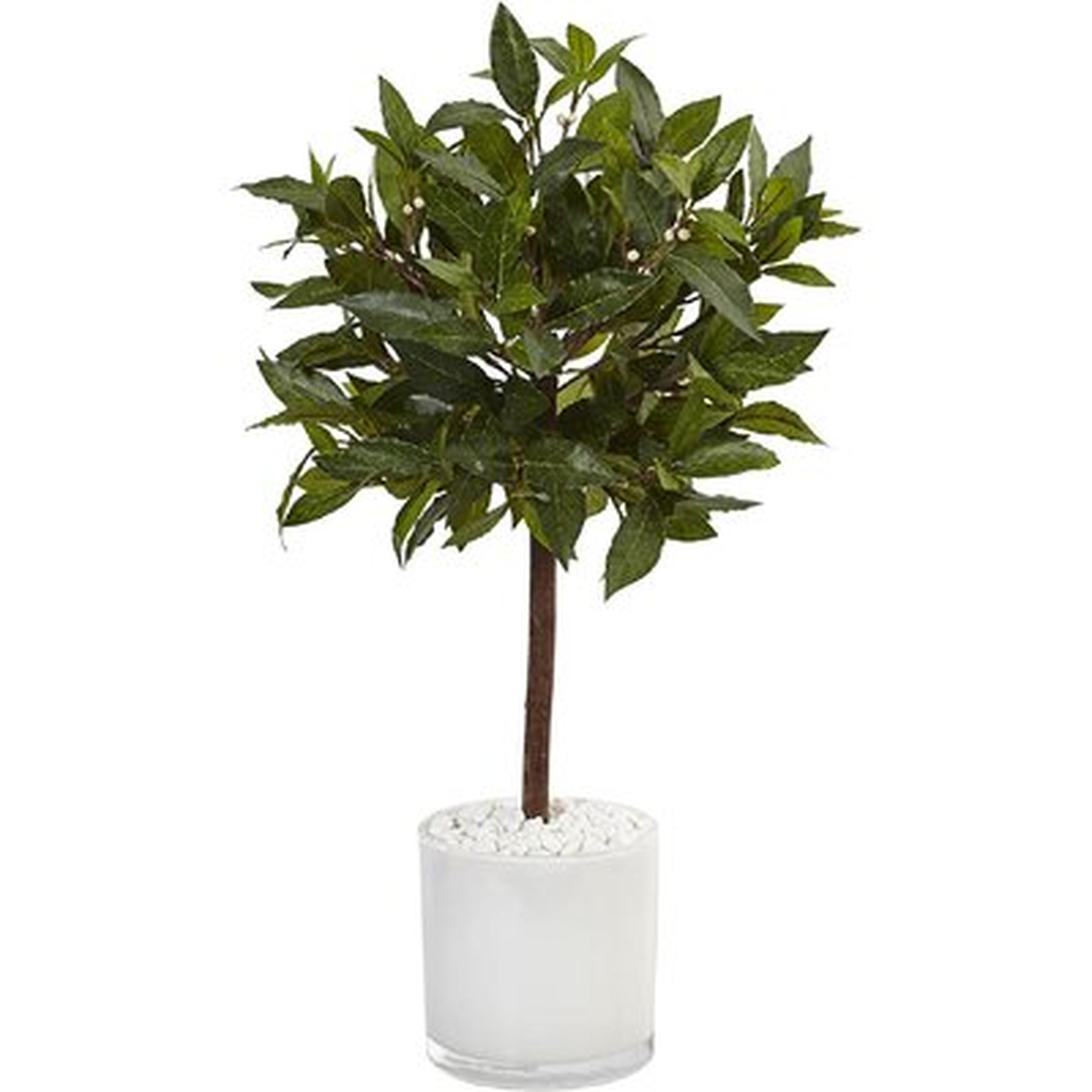 Artificial Bay Tree Tree in Planter - Wayfair