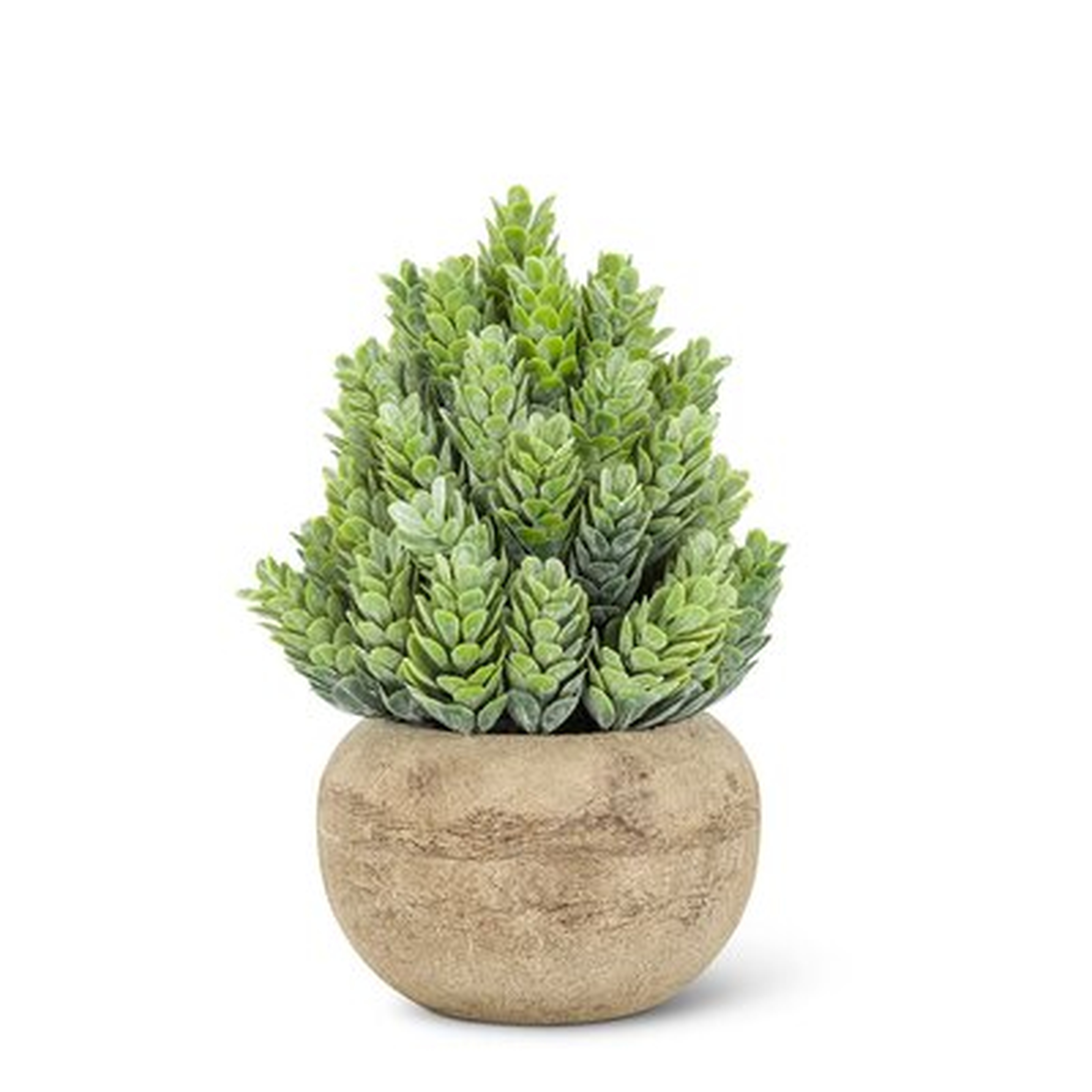 Small Cone Leaf Artificial Plant - Wayfair