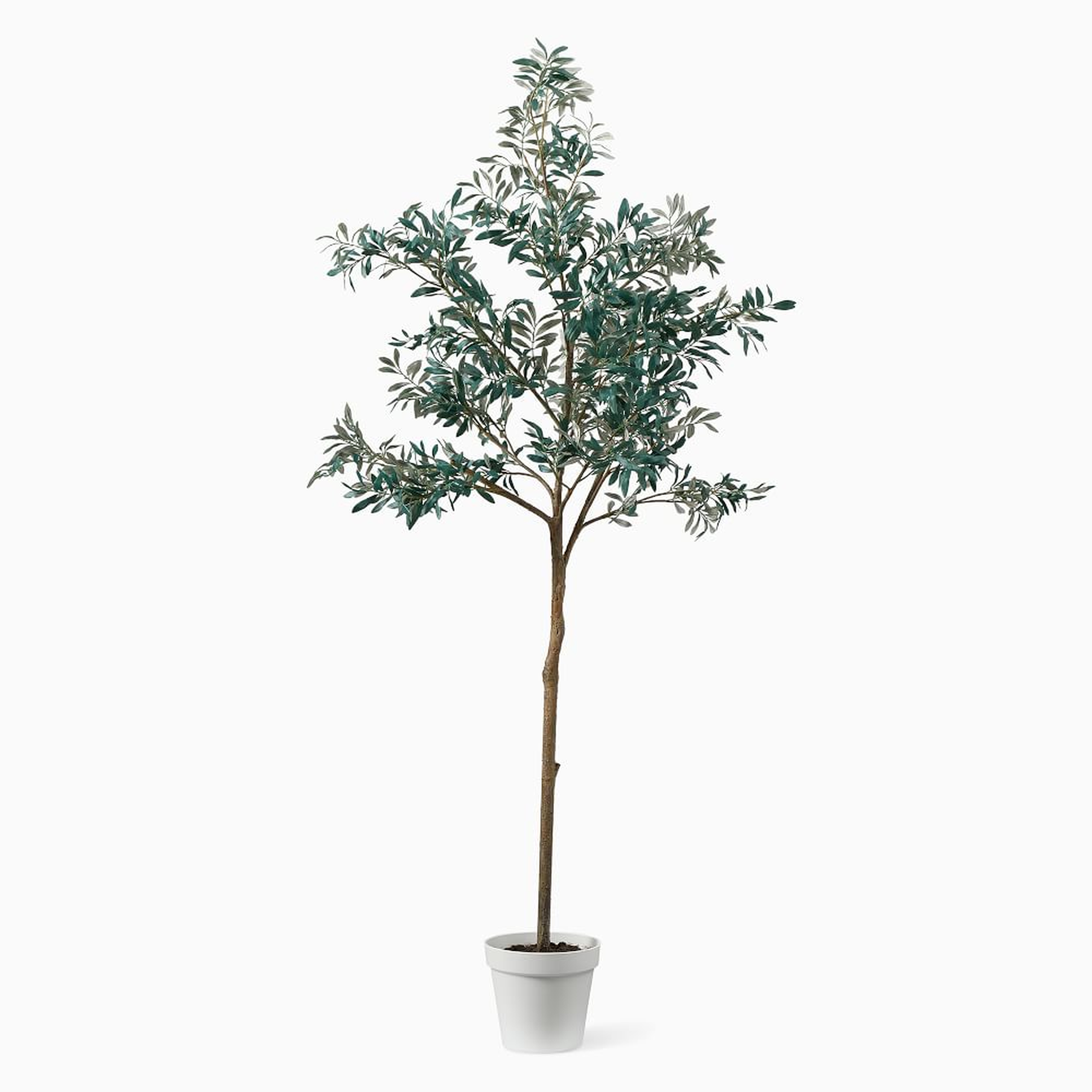 Faux Potted Olive Tree, 7' - West Elm