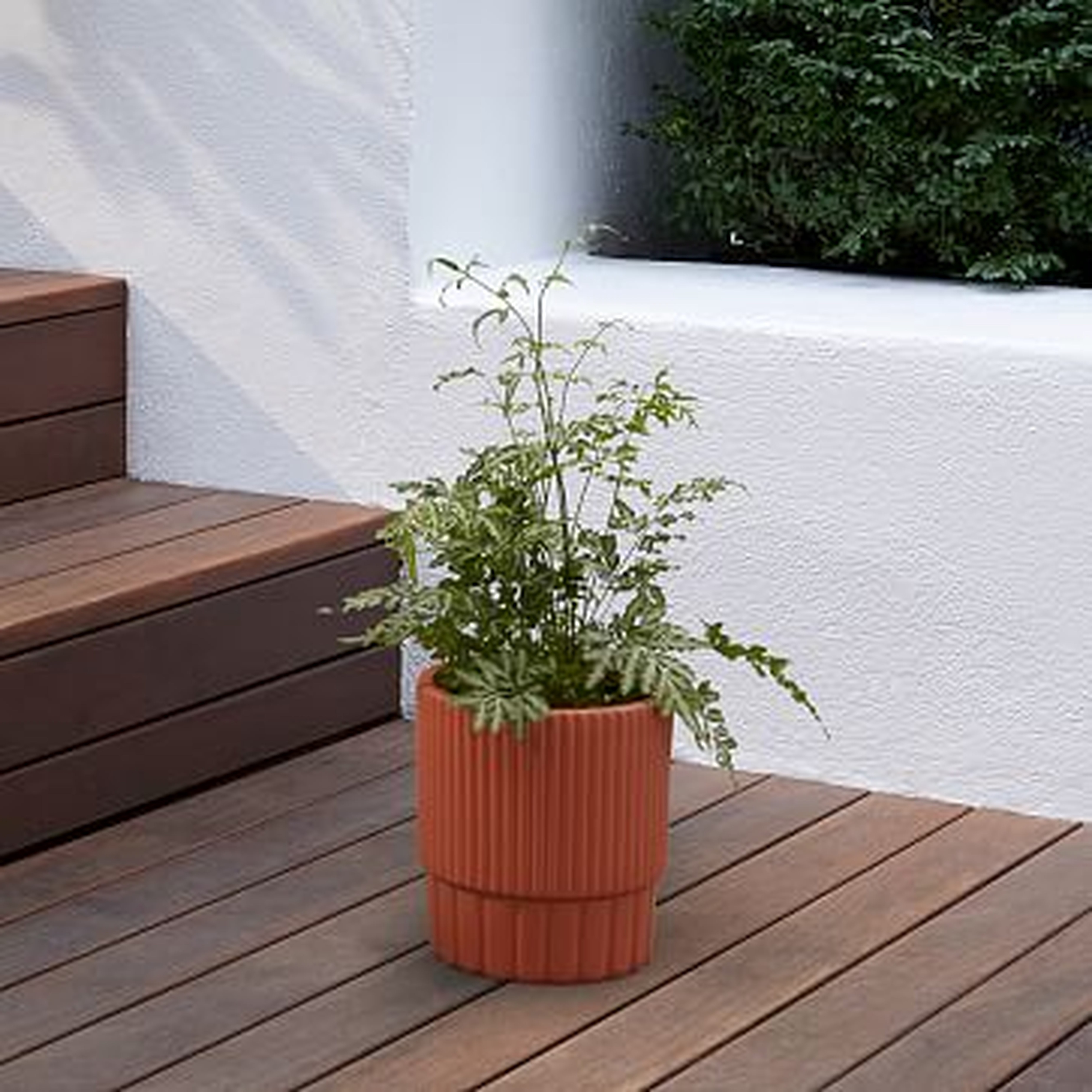 Fluted Planter, Terracotta, Small - West Elm