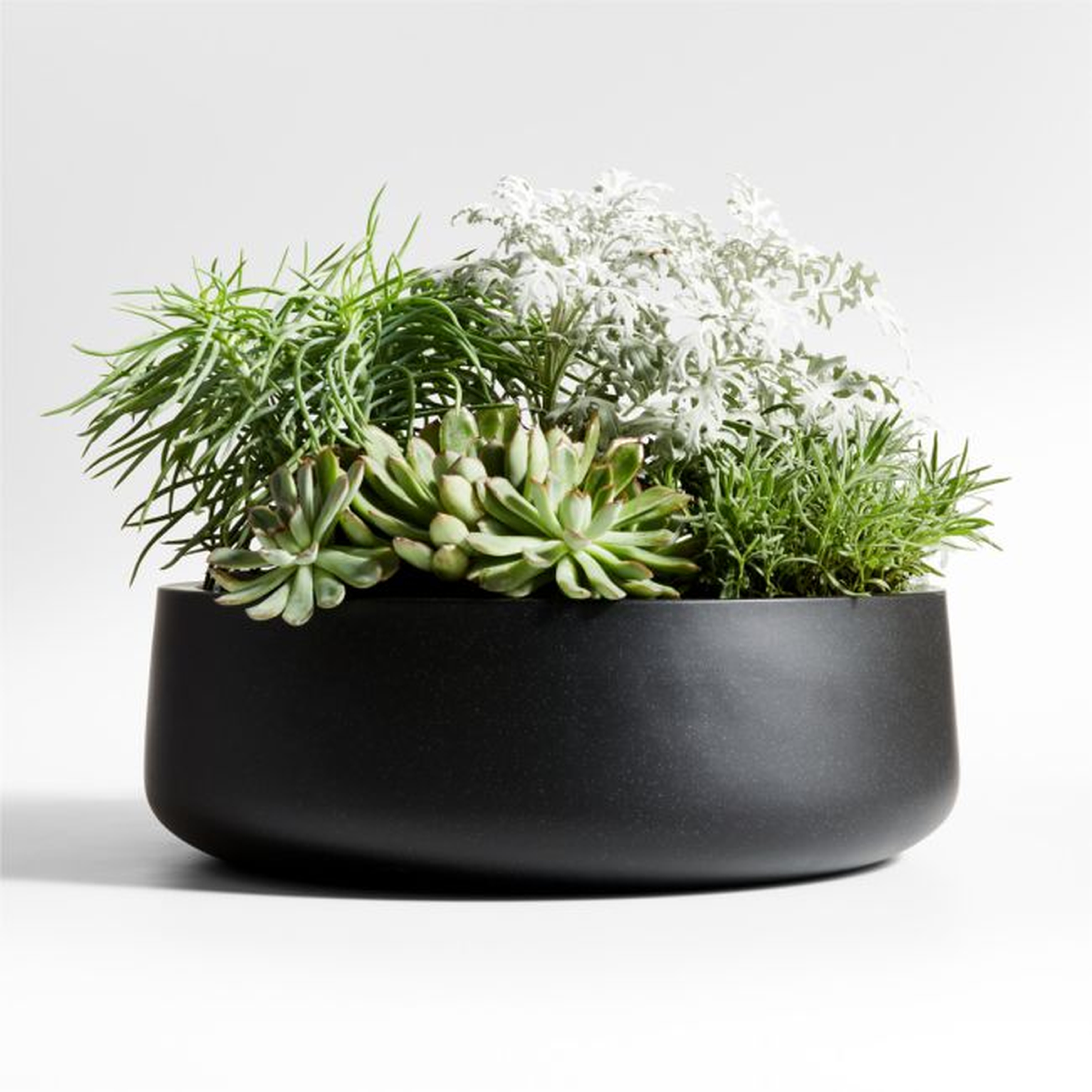 Saabira 18" x 5.75" Black Indoor/Outdoor Tabletop Planter - Crate and Barrel