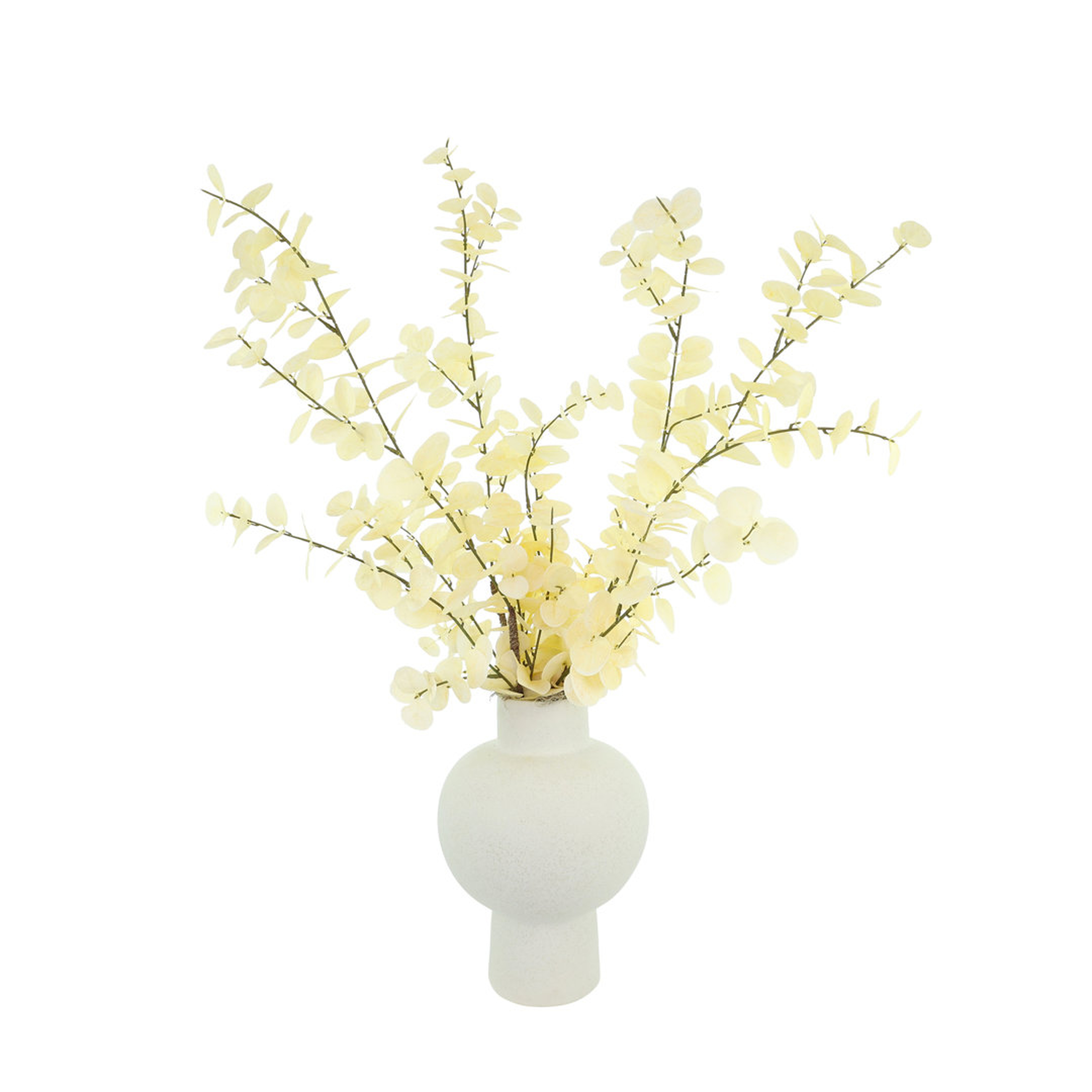 Creative Displays, Inc. Modern Blanched Eucalyptus Arrangement in Decorative Ceramic Vase - Perigold