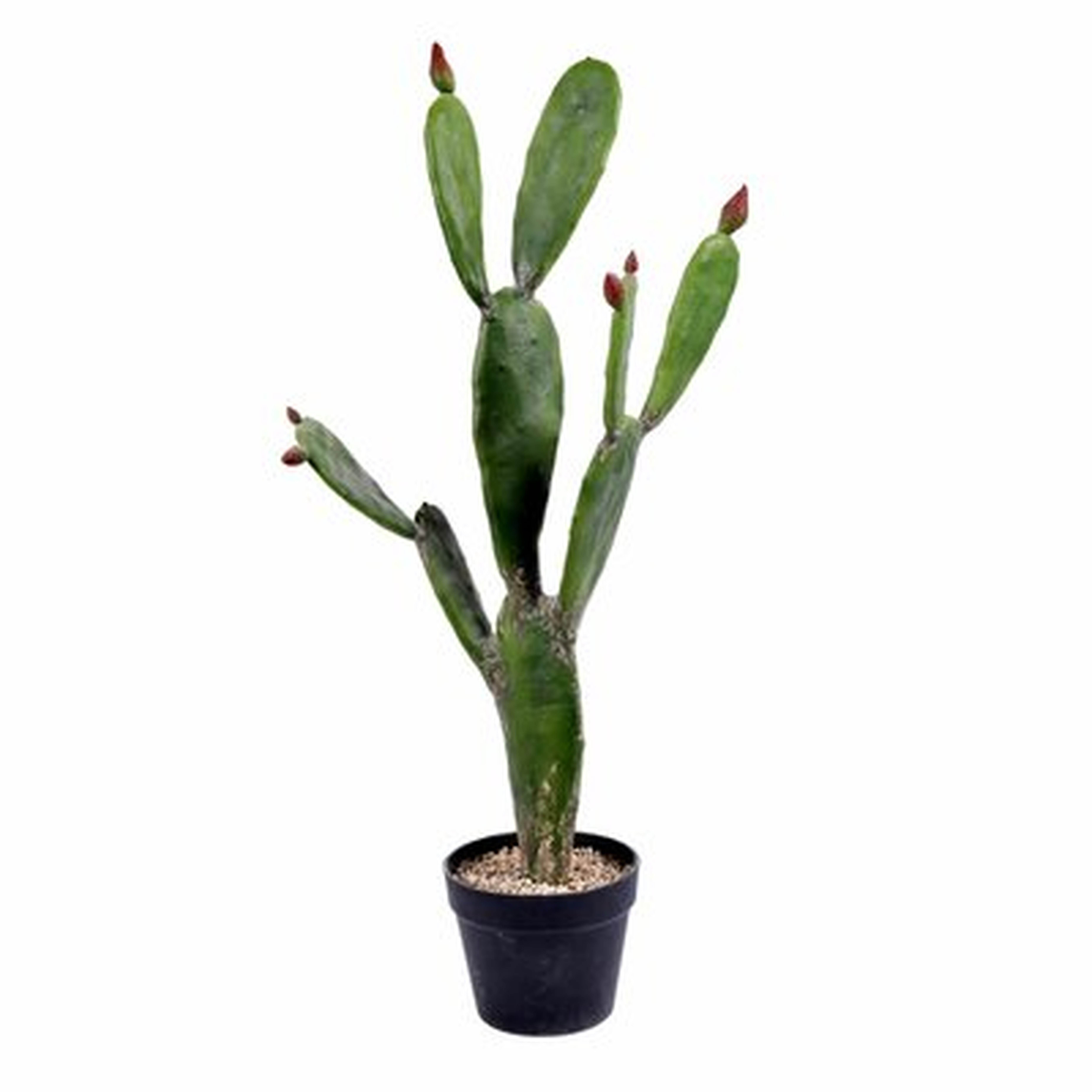 Artificial Cactus Tree in Pot - Wayfair