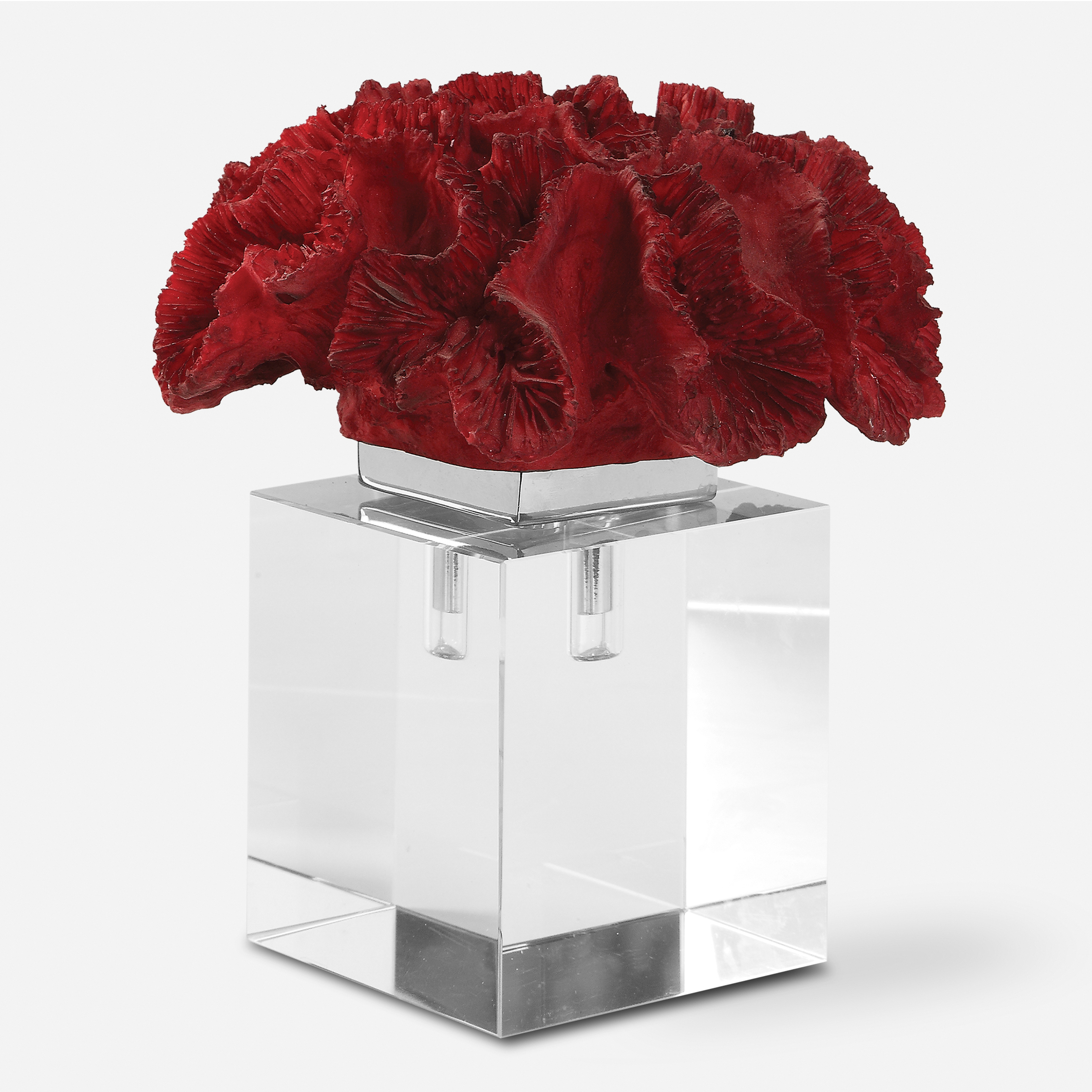 Red Coral Cluster - Uttermost