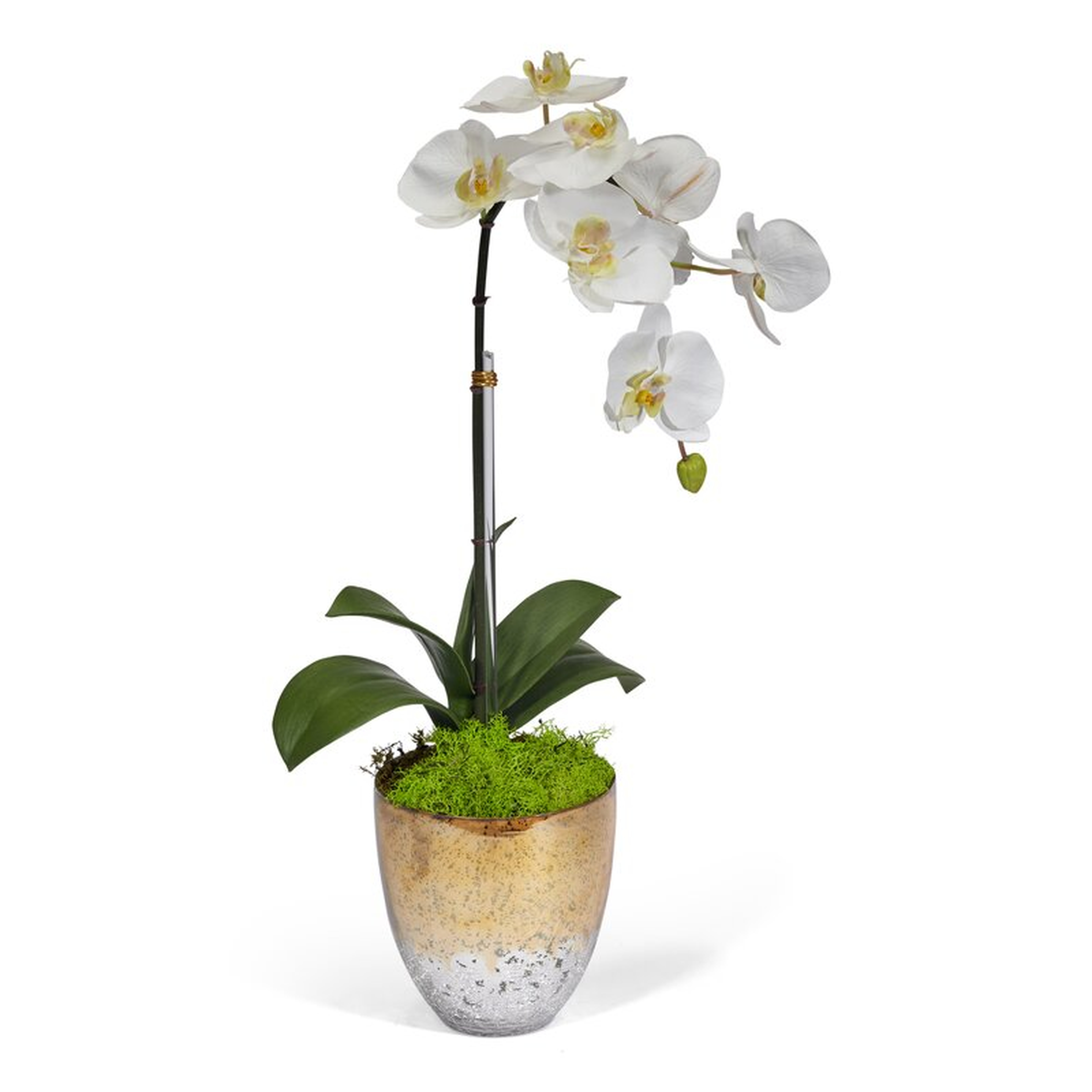 Single Faux Orchids Floral Arrangement in Vase - Perigold