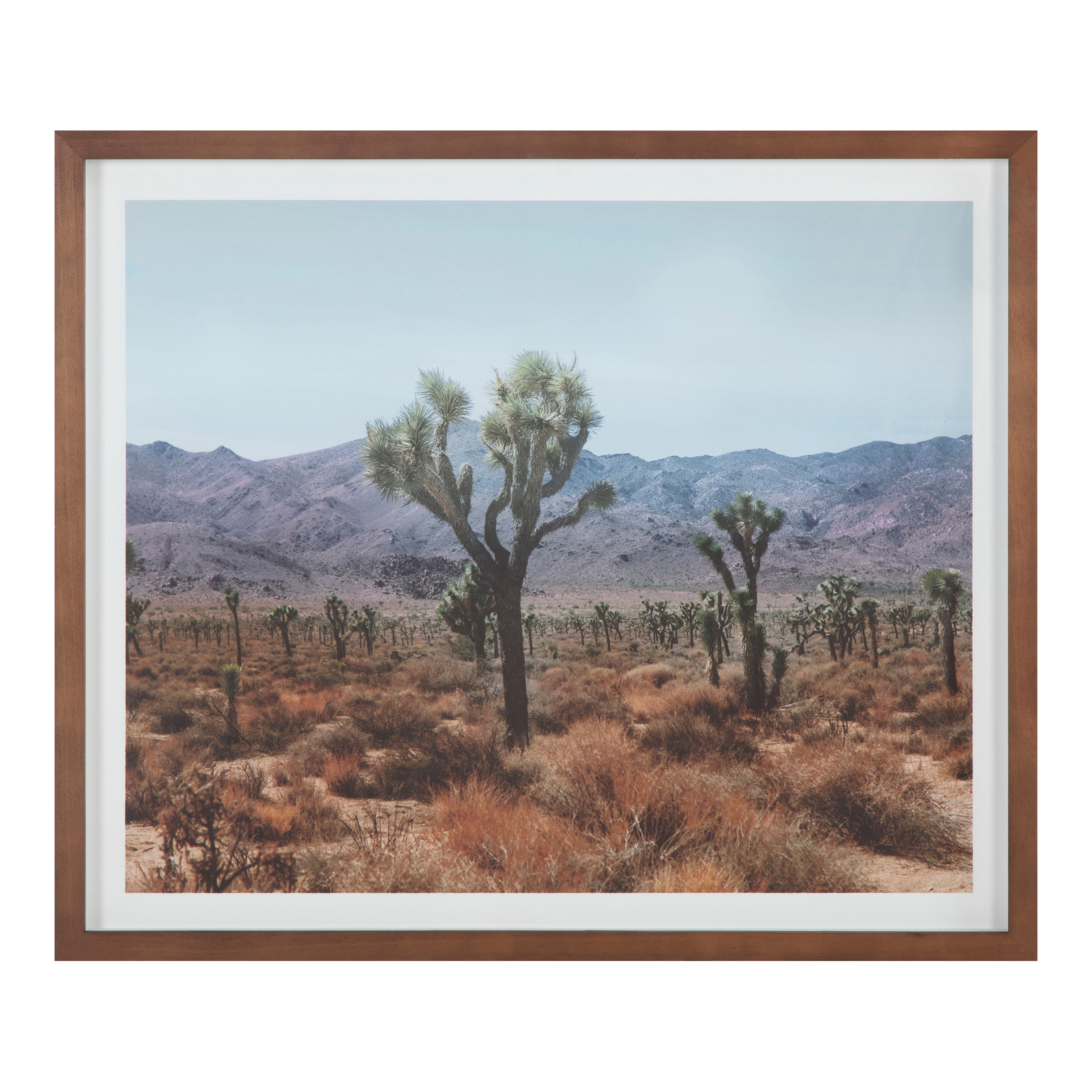 Desert Land Framed Print - Moes Home Collection