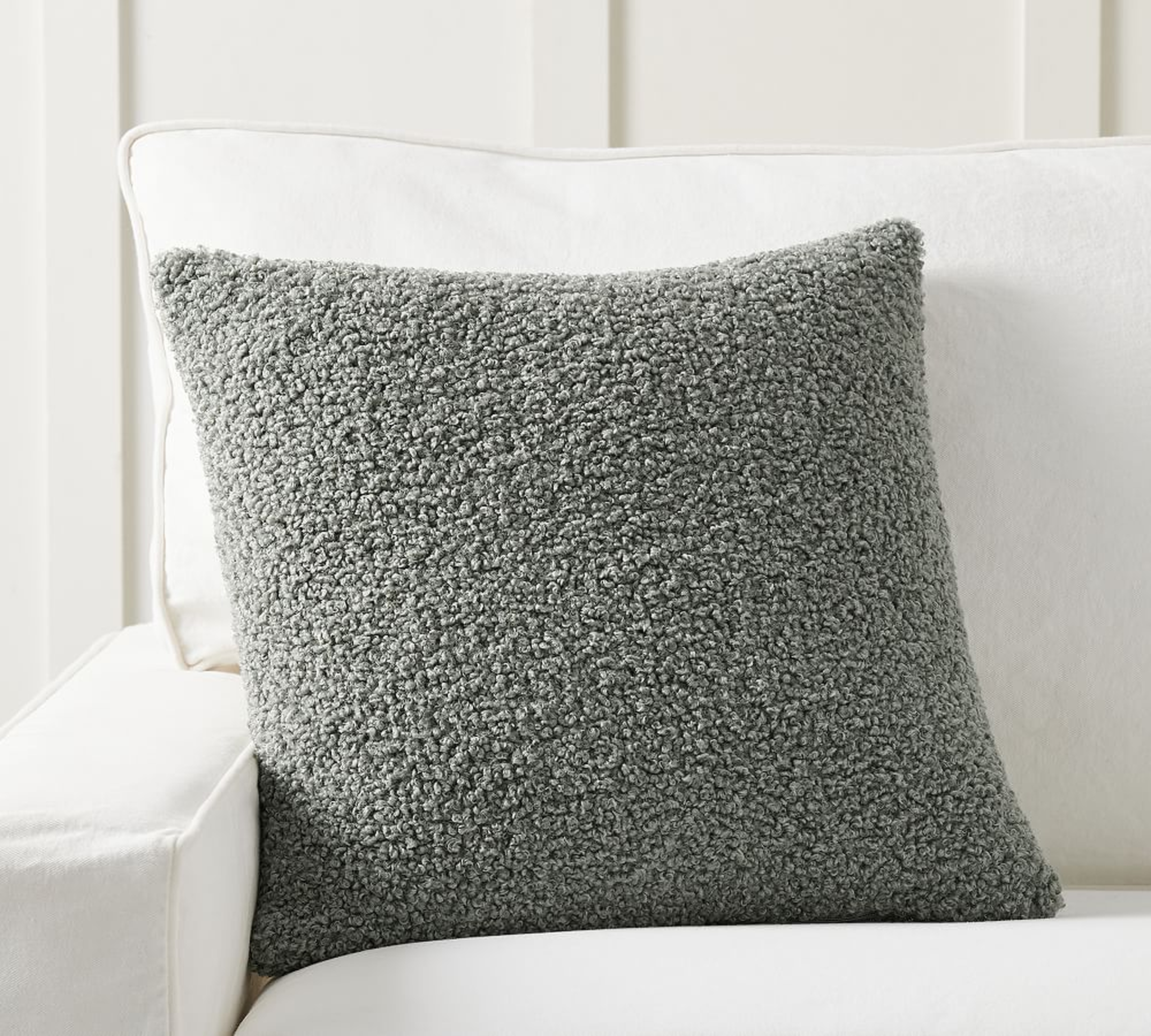 Cozy Teddy Faux Fur Pillow Cover, 20 x 20", Sage - Pottery Barn