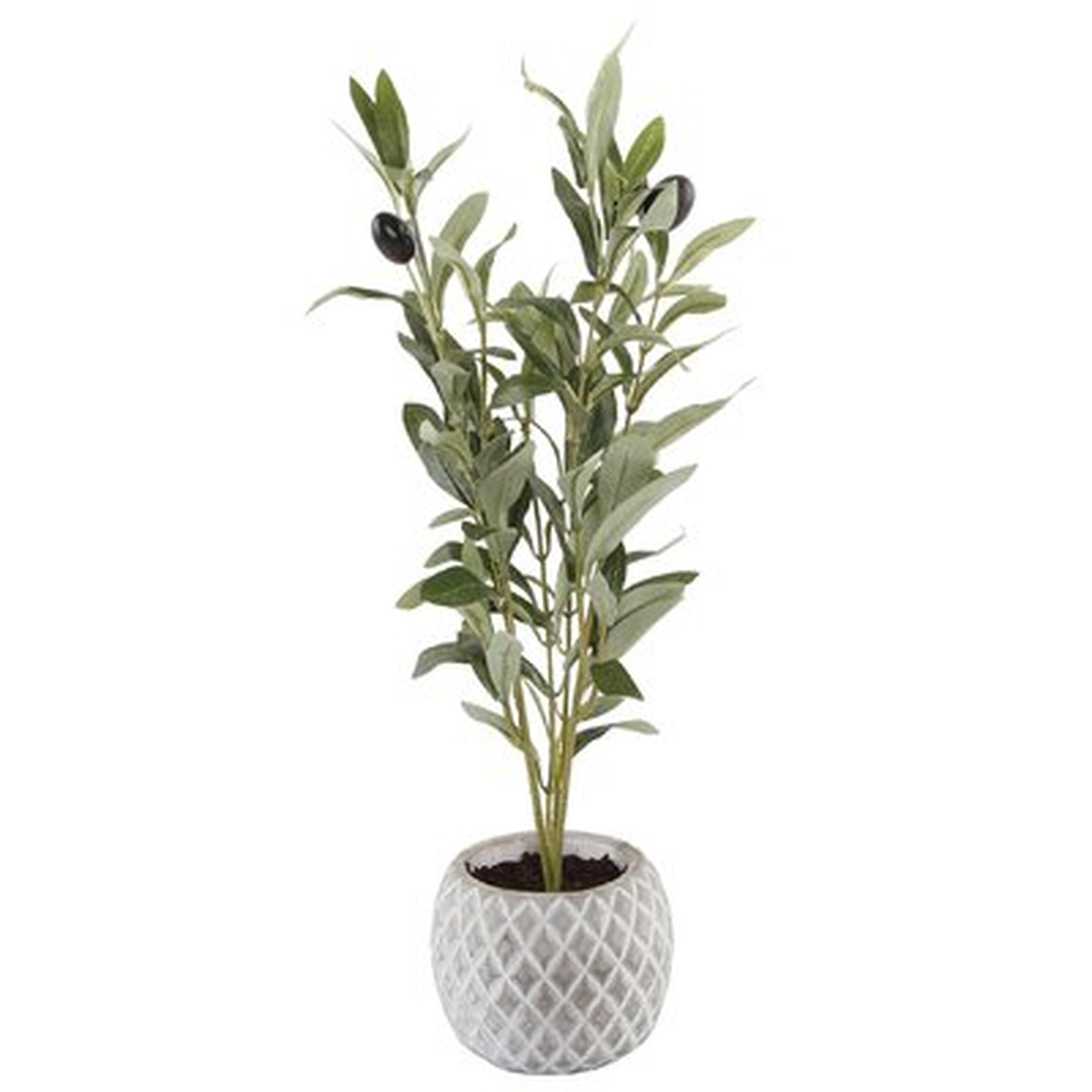 Artificial Olive Tree Plant in Pot, 10" - Wayfair