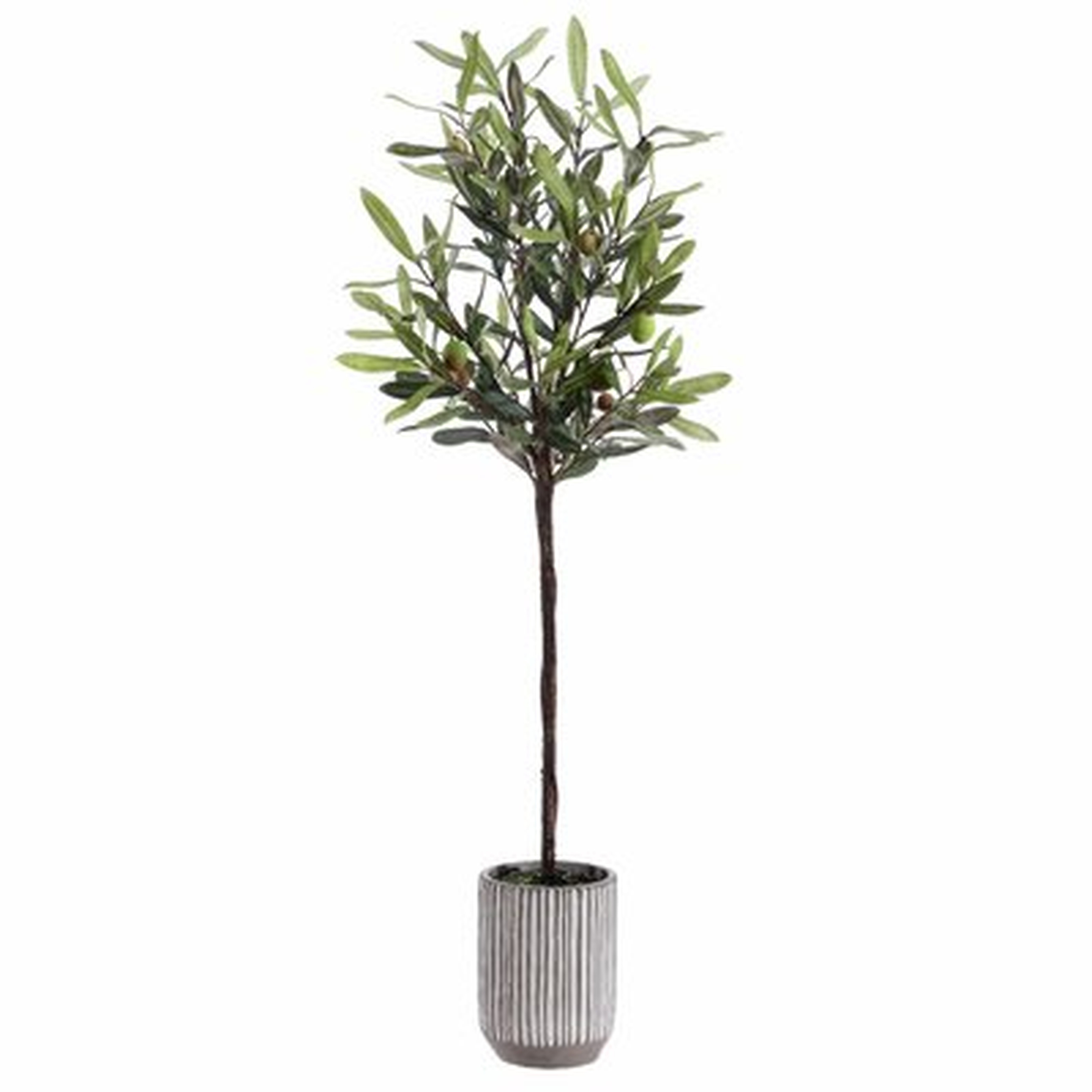 Faux Olive Potted Tree - Wayfair