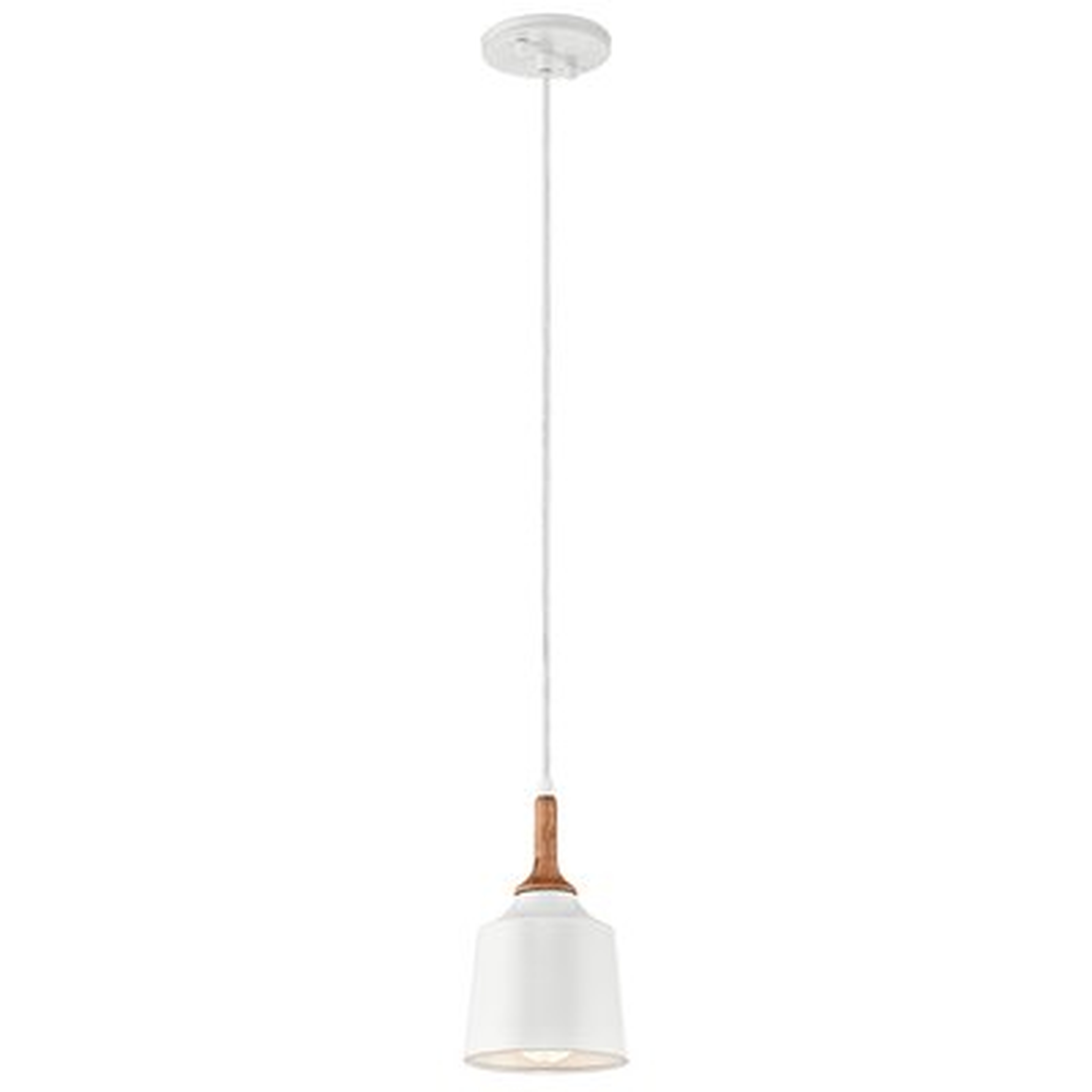 Ayana 1 - Light Single Bell Pendant with Wood Accents - AllModern