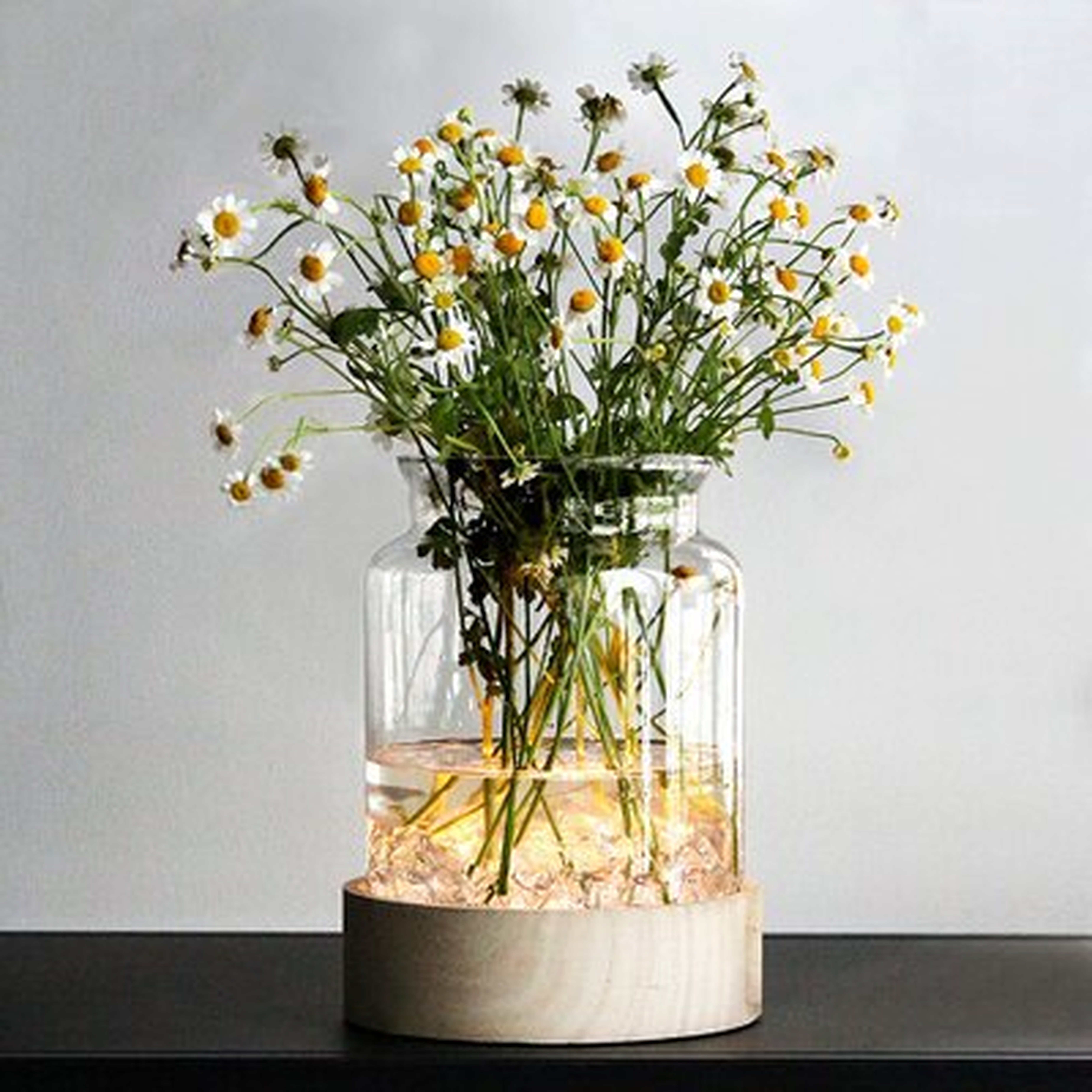 Table Glass Vase With Led Lights, Flower Clear Vase With Timing Function, Battery Operated Centerpieces Vase With Wood Tray For Home Decor/indoor Green Plants/fish Tank/wedding/party Etc(jar) - Wayfair