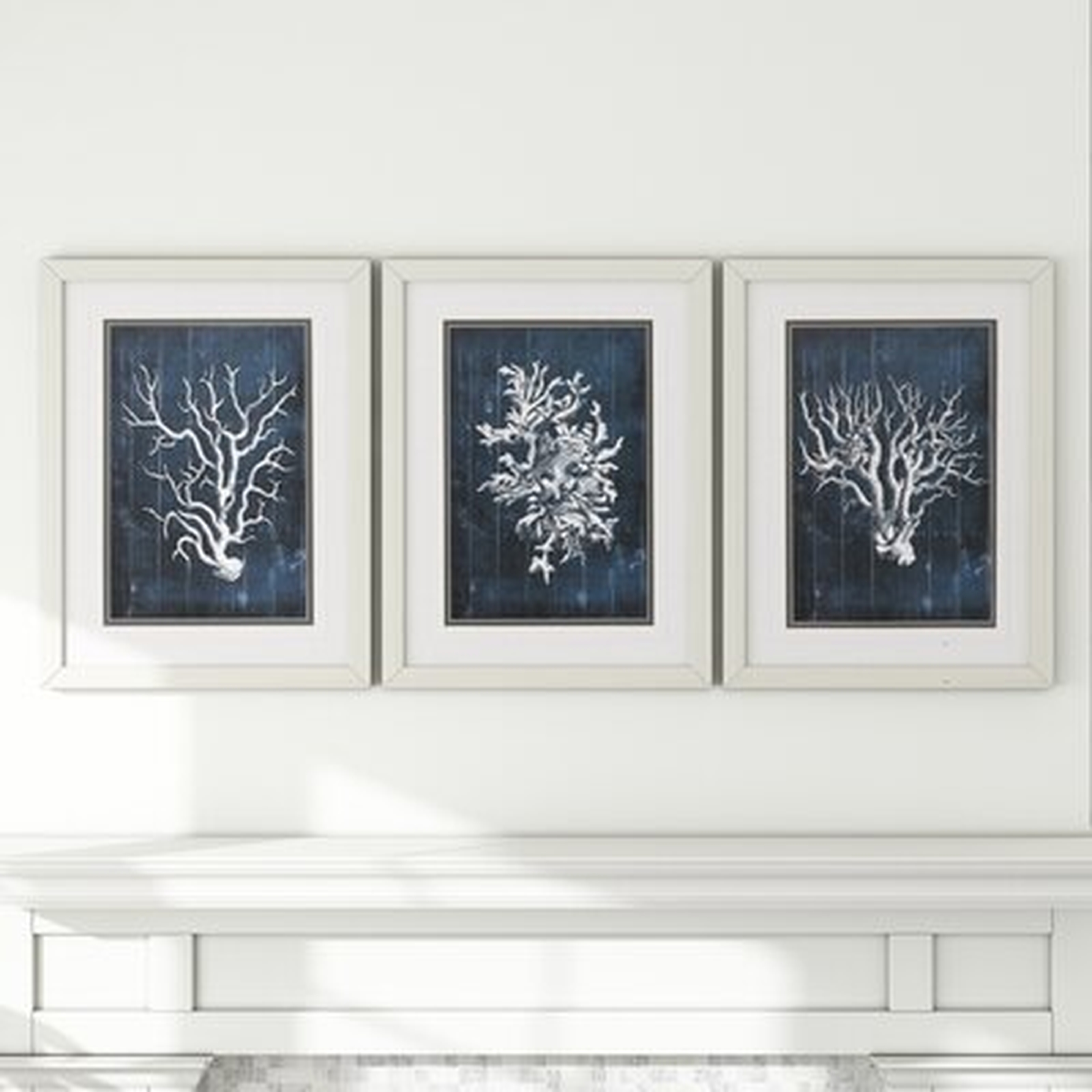 Wood Coral - 3 Piece Picture Frame Graphic Art Print Set on Paper - Wayfair