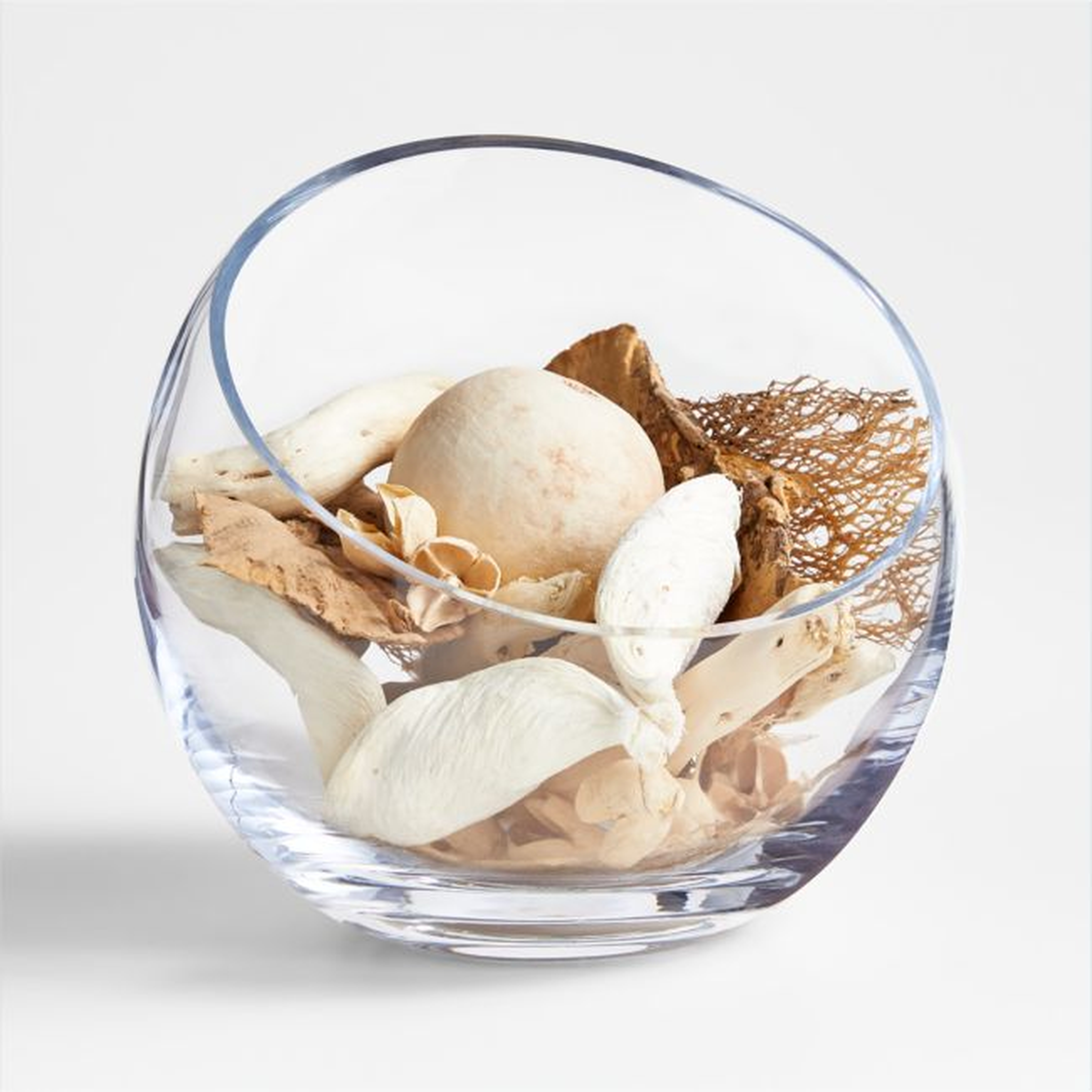 Dried Botanical Vase/Bowl Filler - Crate and Barrel
