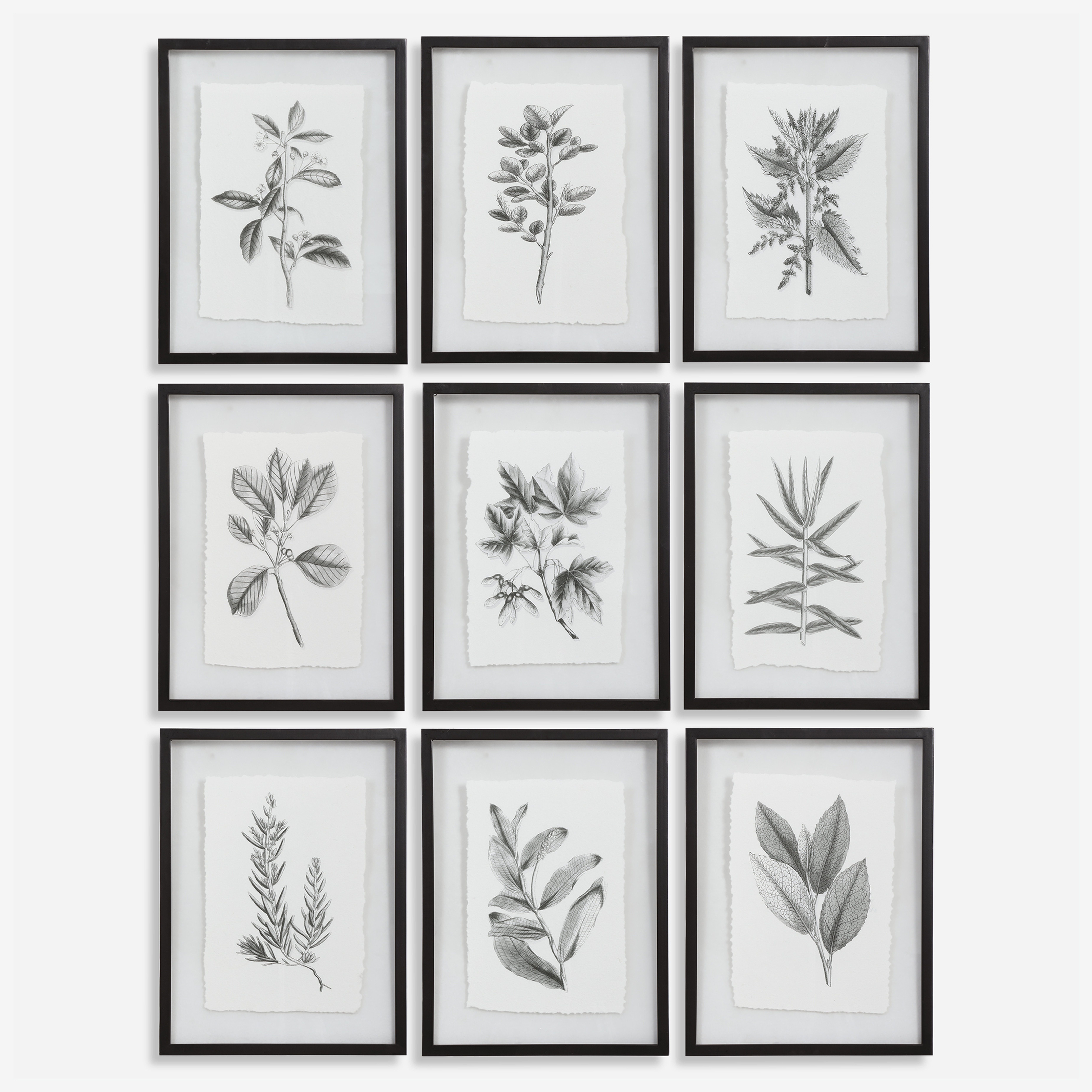 Farmhouse Florals Framed Prints, S/9 - Uttermost