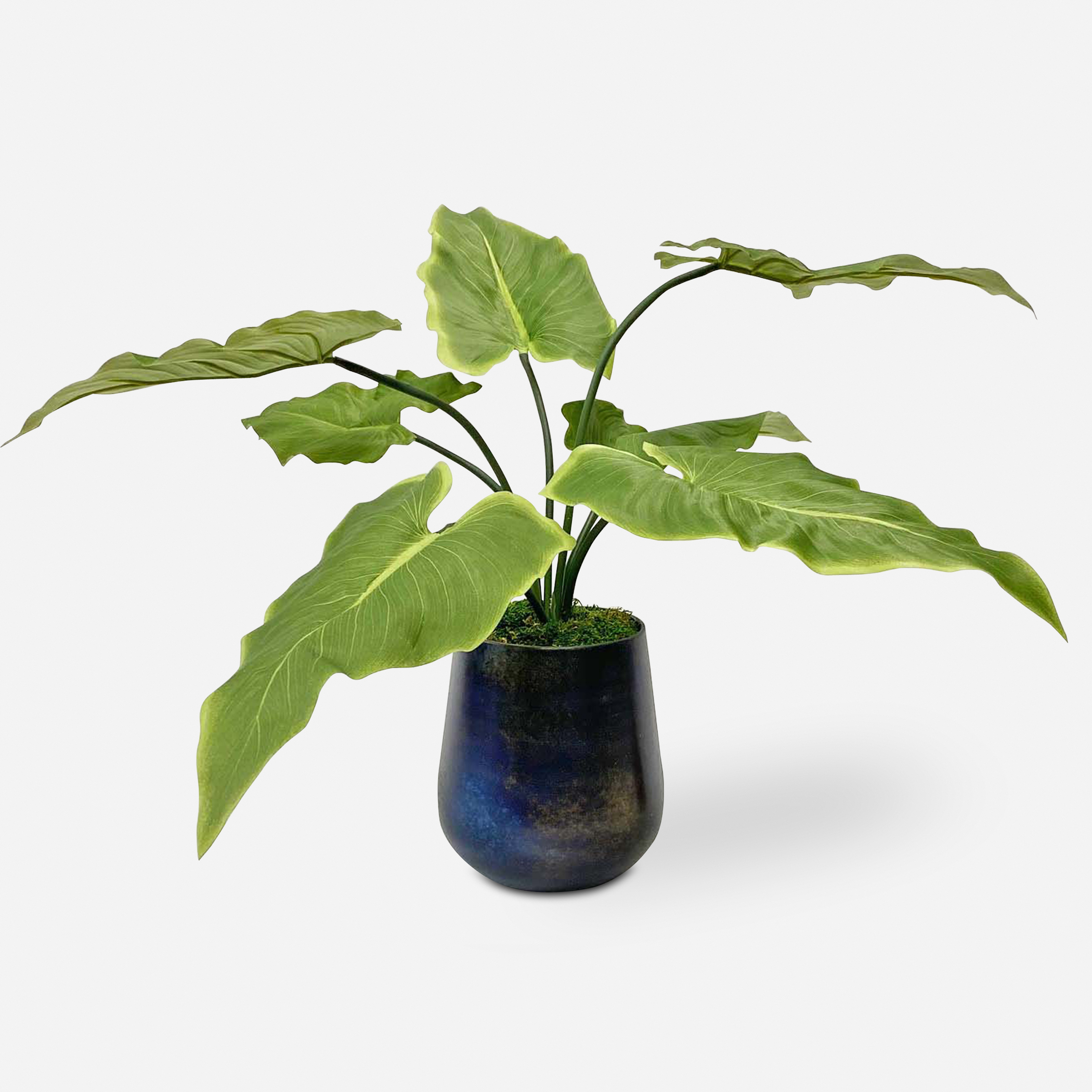Mari Calla Accent Plant - Uttermost