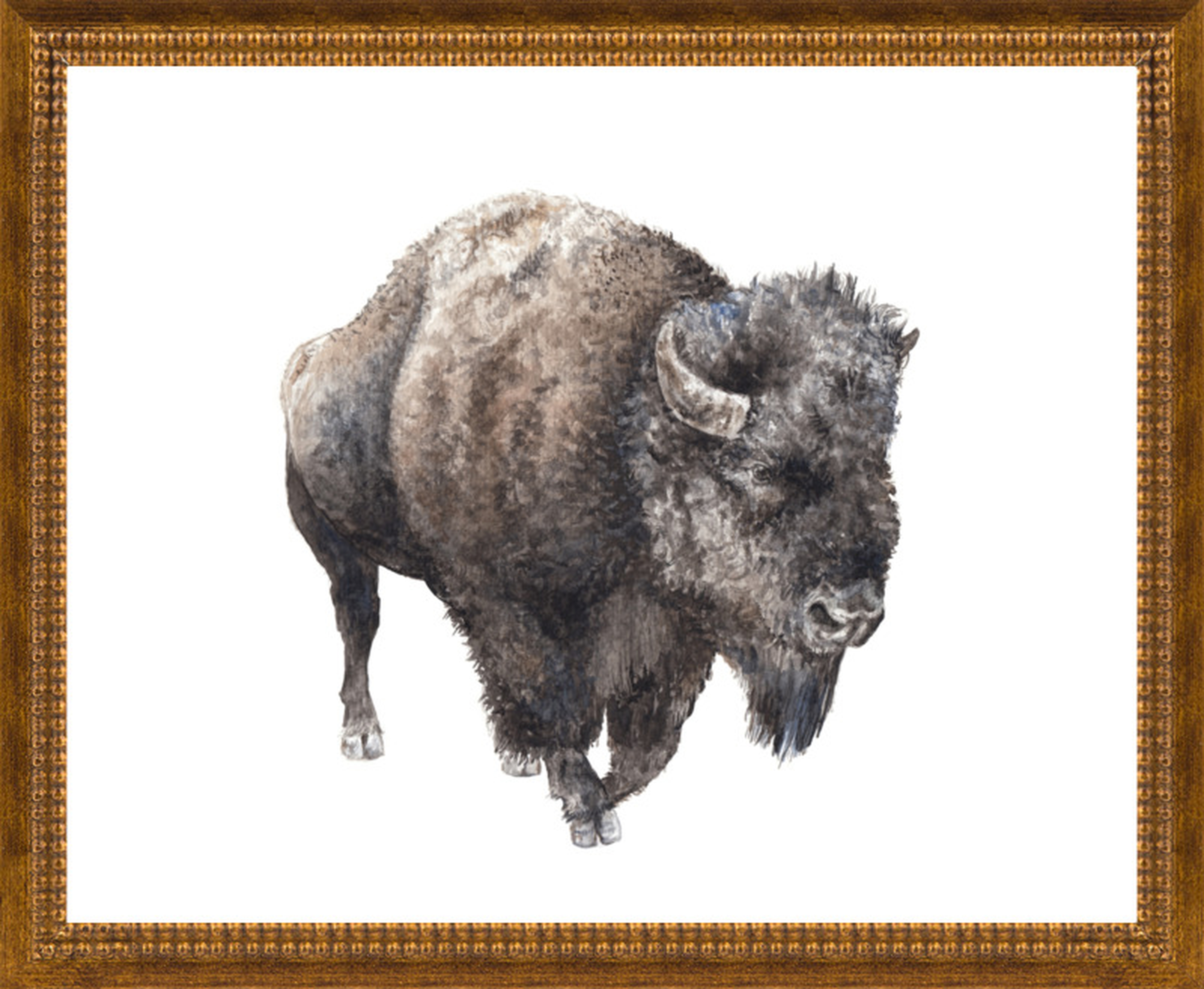Roaming Watercolor Buffalo by Lauren Rogoff for Artfully Walls - Artfully Walls